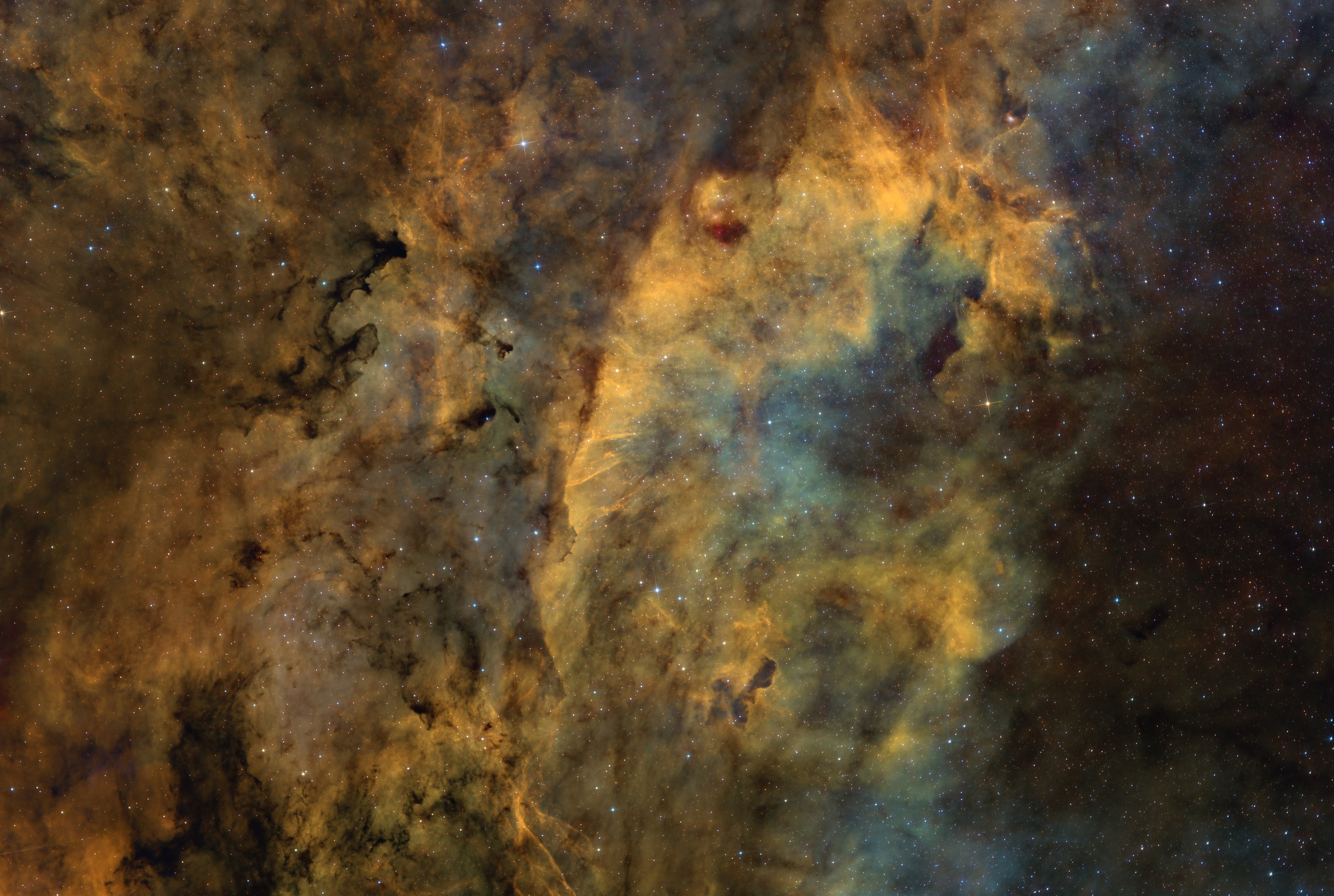 VdB 130 cluster and surrounding nebulae - HST