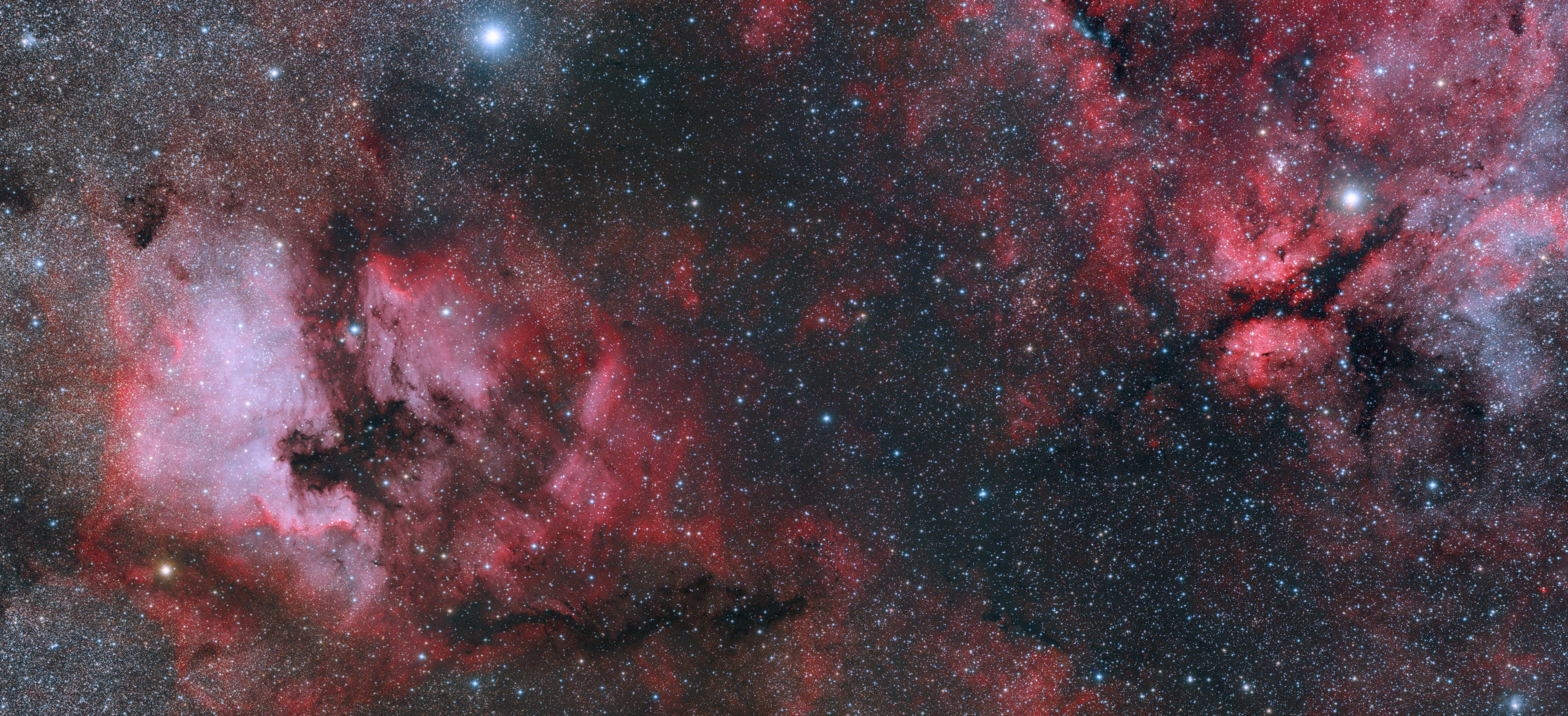 Labuť (NGC7000, IC5067, IC5068, NGC6914, VdB131až133)