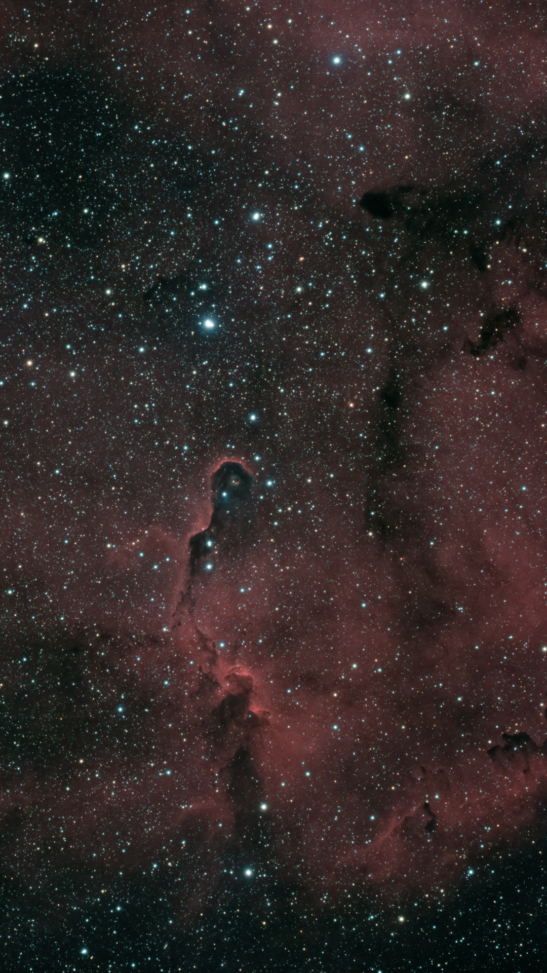 IC1396 Sloní chobot RGB + Ha
