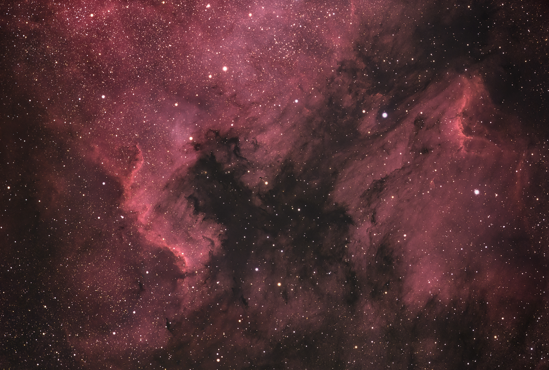 NGC7000, IC5070