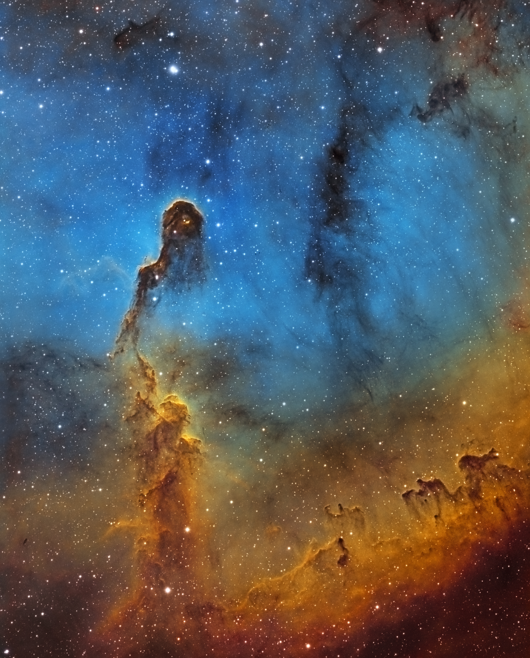 IC1396 HST