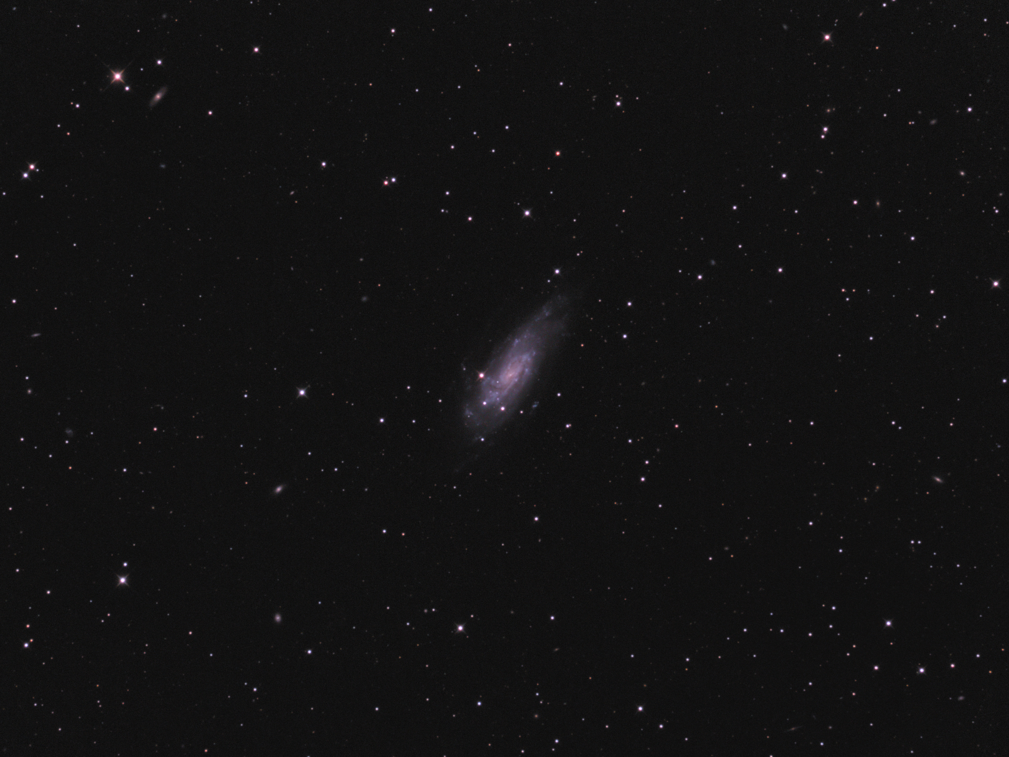 NGC4559 (Koi Fish Galaxy)