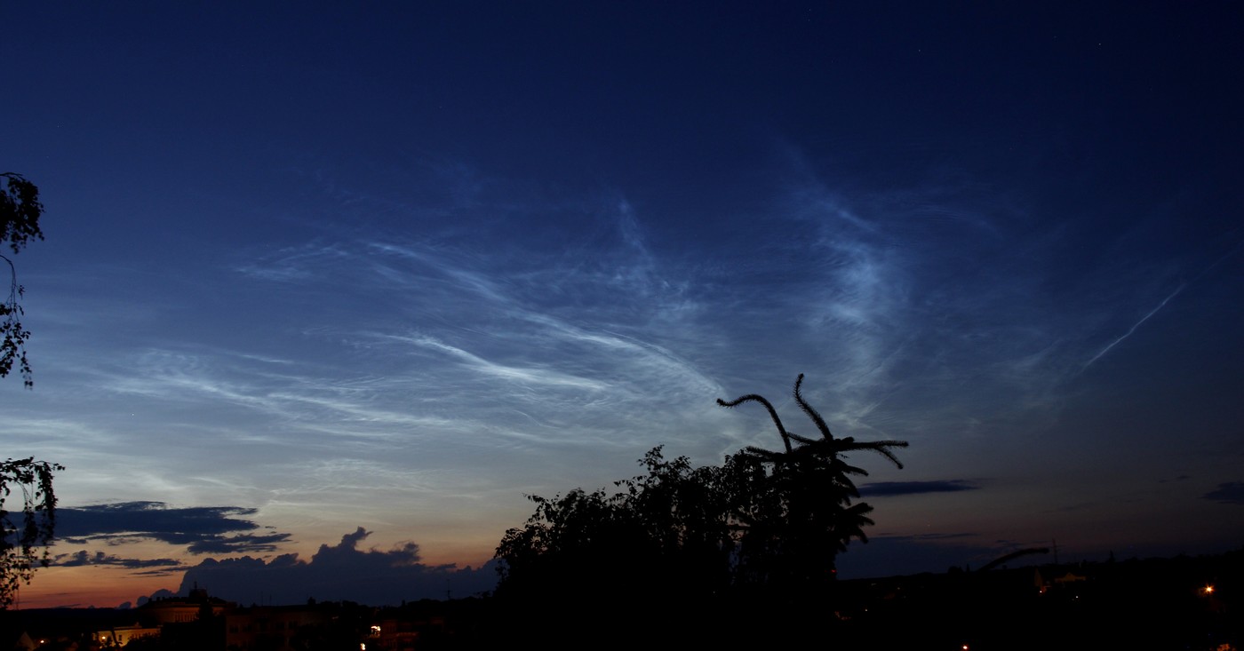 NLC v Prostějově (1)