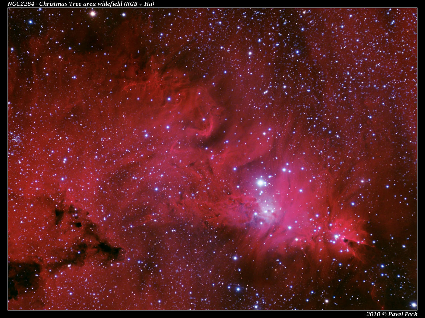 NGC2264 - Christmas Tree widefield (RGB + Ha)