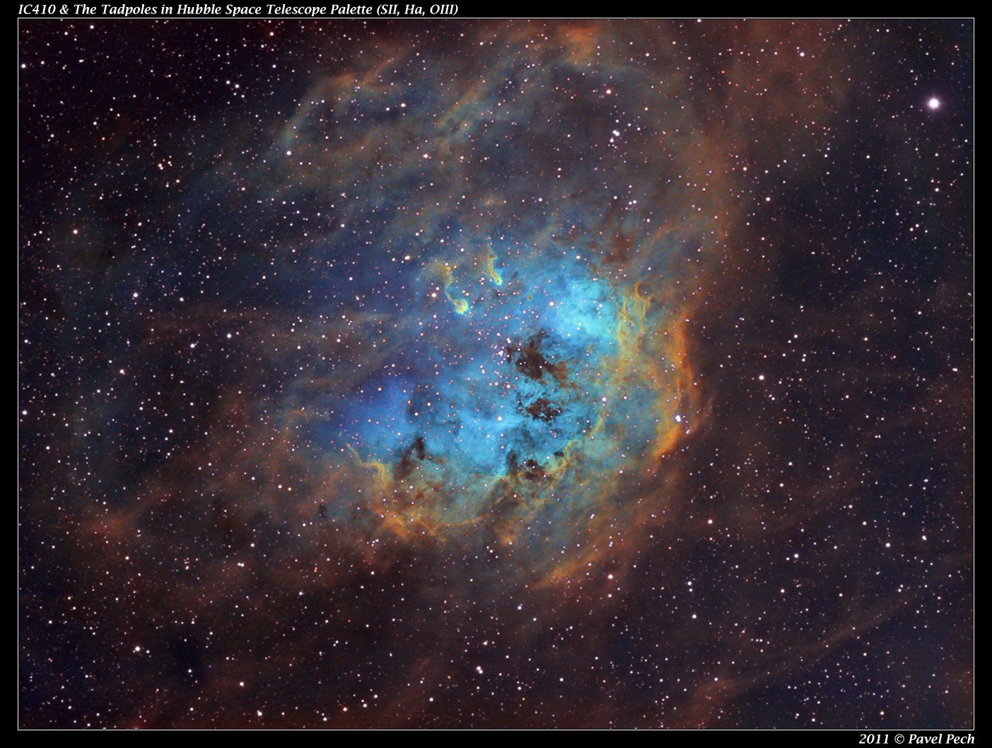 IC410 & The Tadpoles, HST image