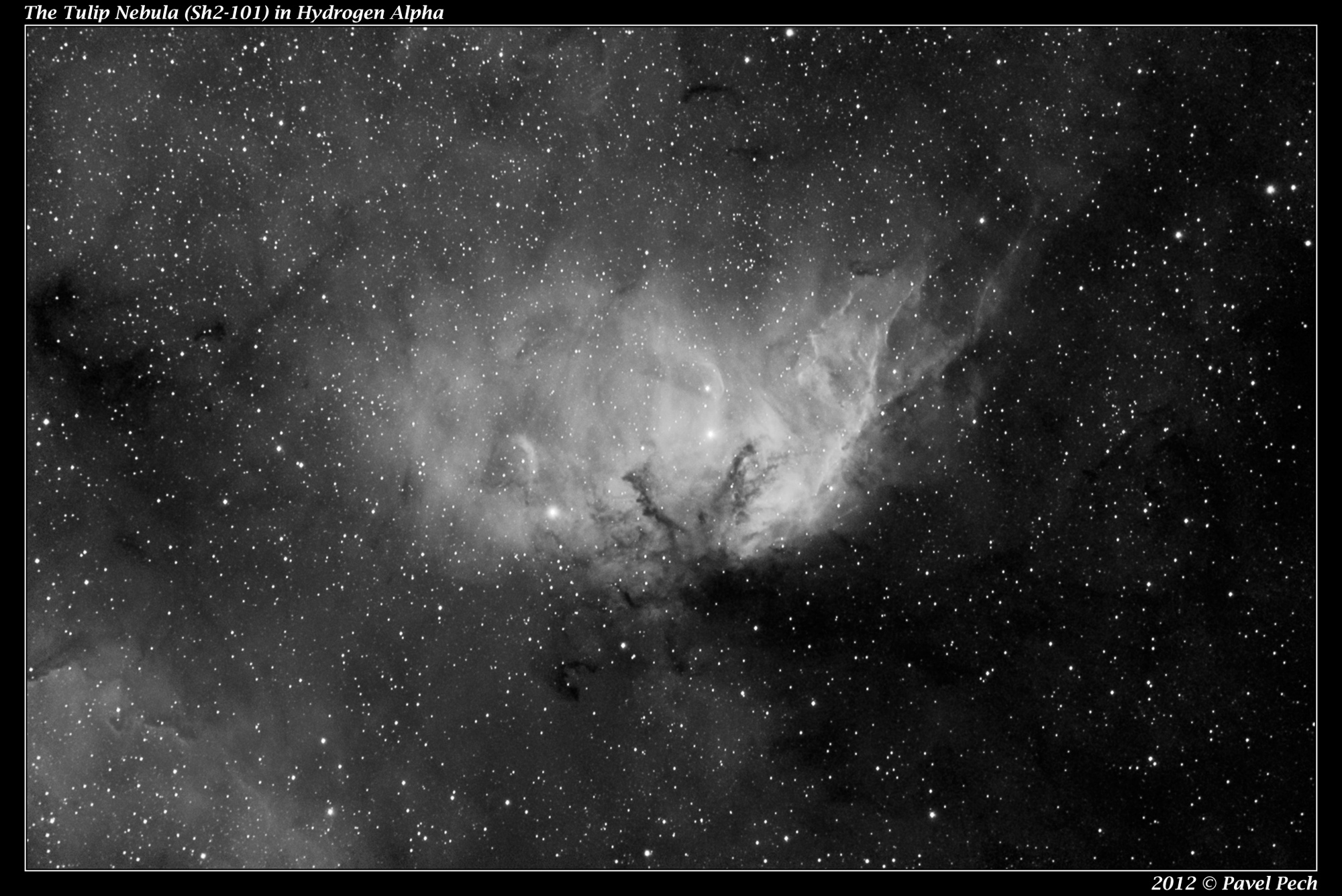 Tulip Nebula (Sh2-101) Ha