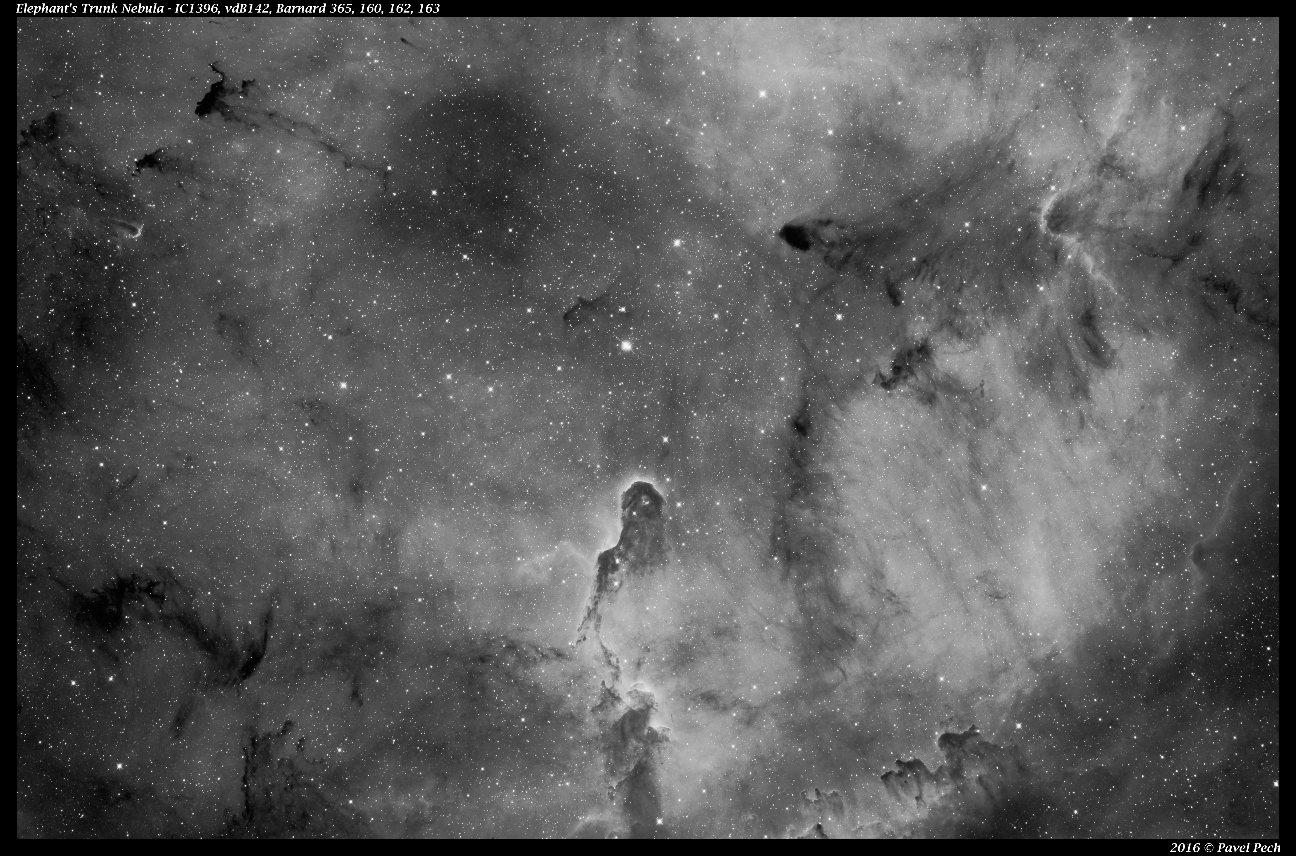 Elephant's Trunk Nebula - IC1396, vdB142, B365, B162, B163