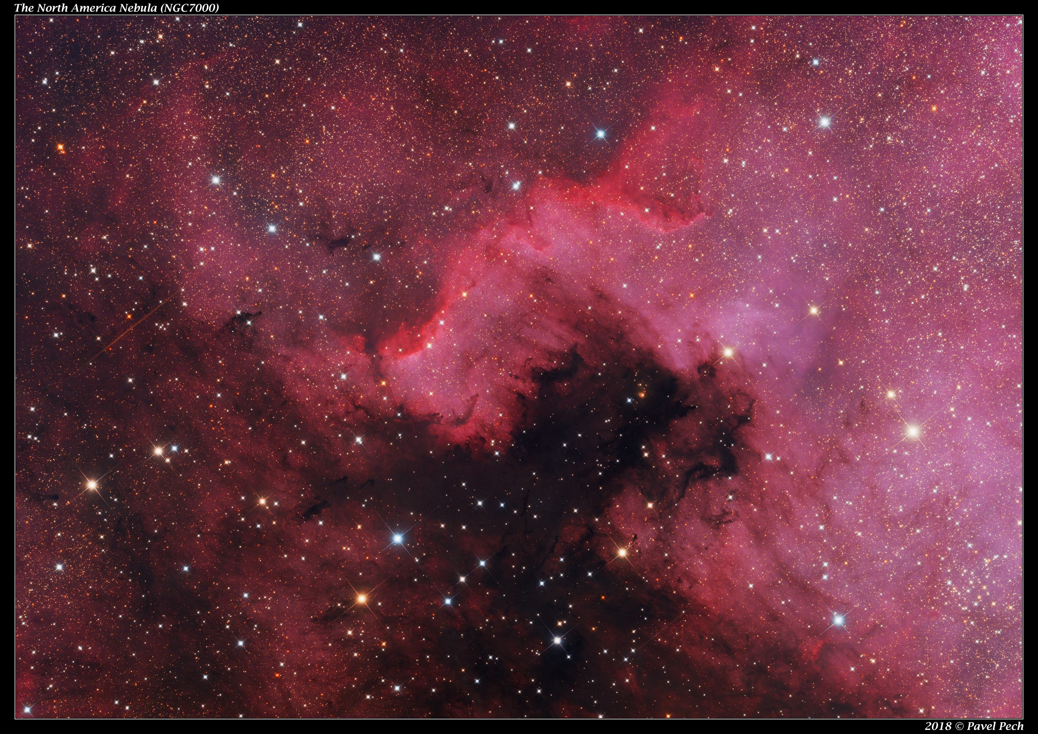The North America Nebula (NGC7000)