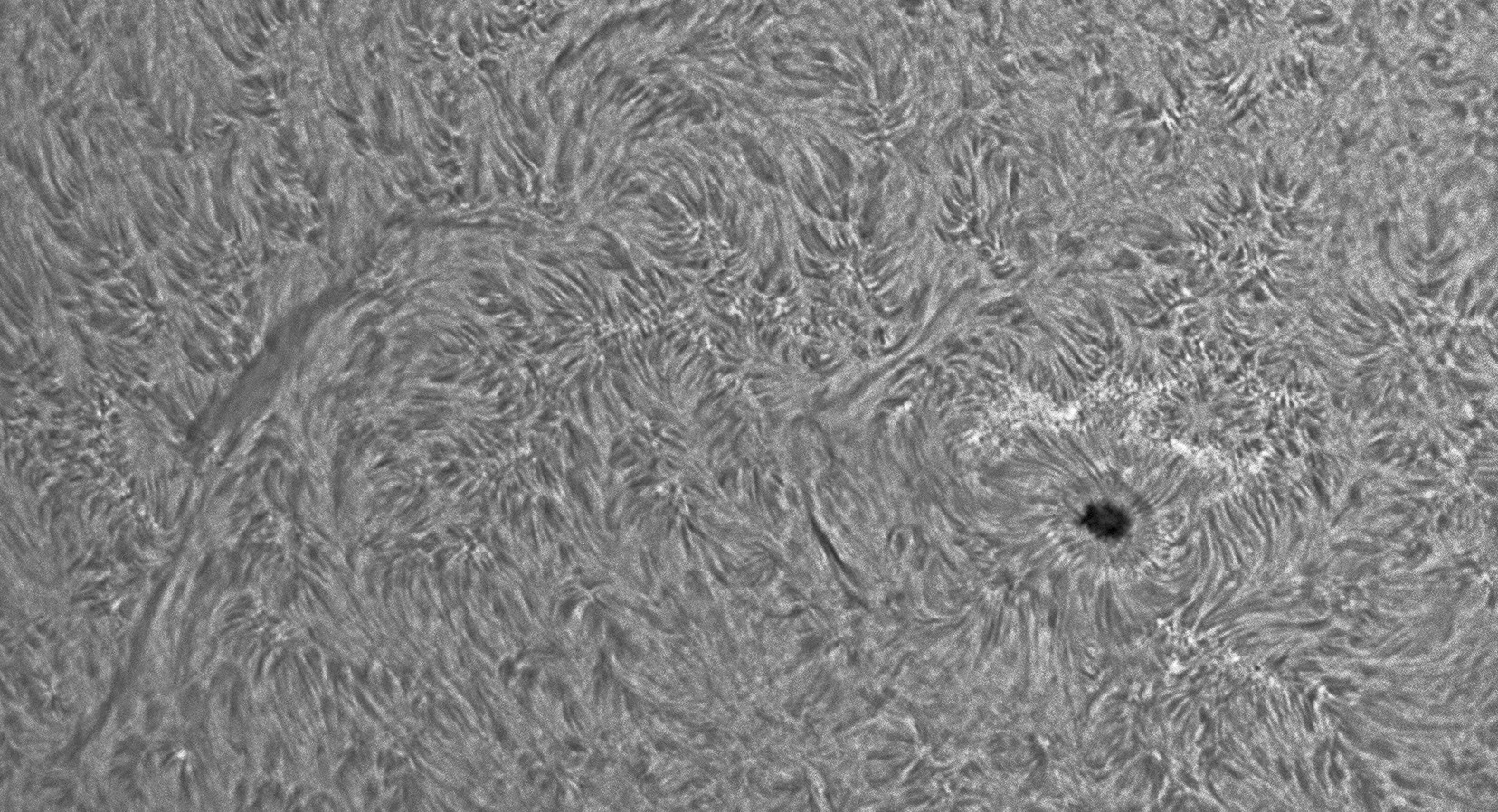 Sluneční skvrna 2833