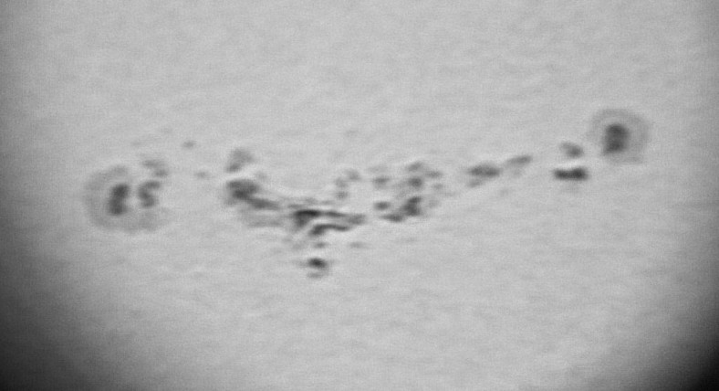 Detail skvrn 8.2.2010