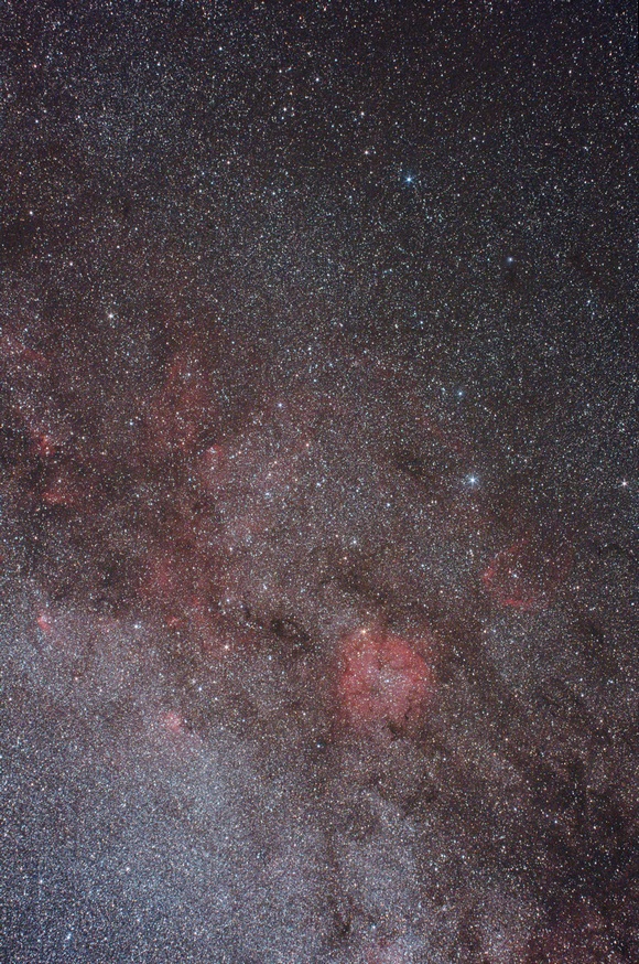 Cepheus