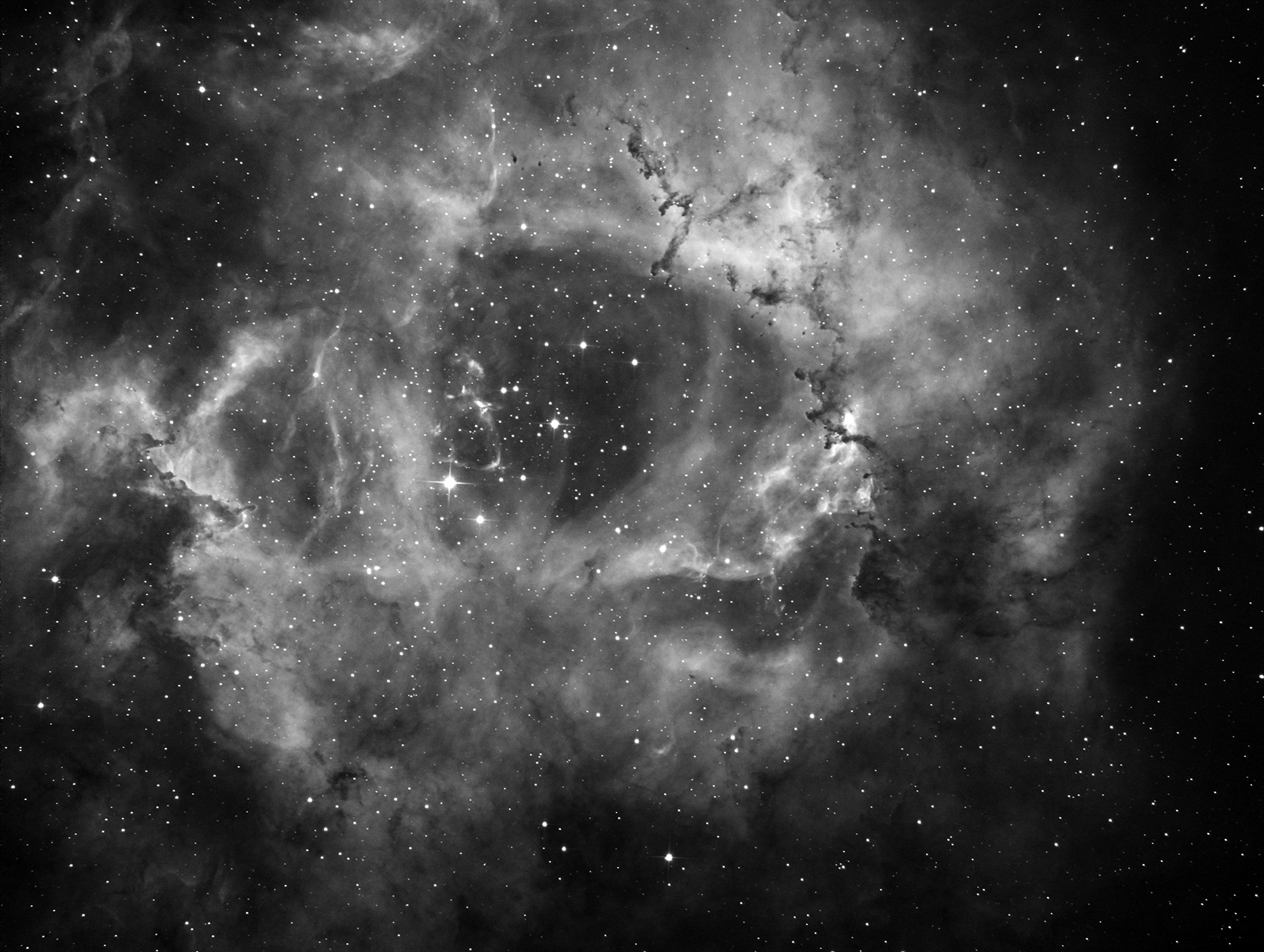 C49, NGC2237, Rosette