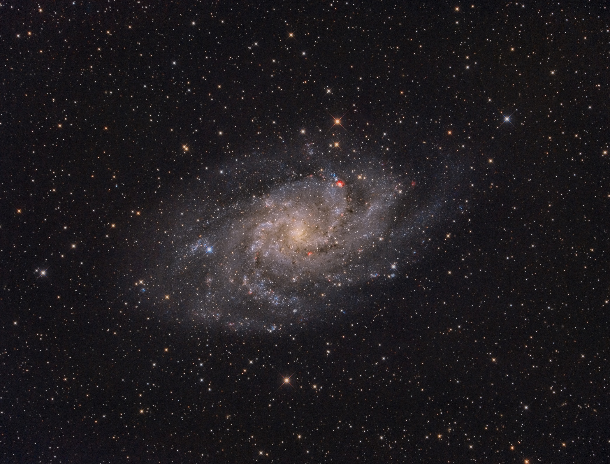 M33
