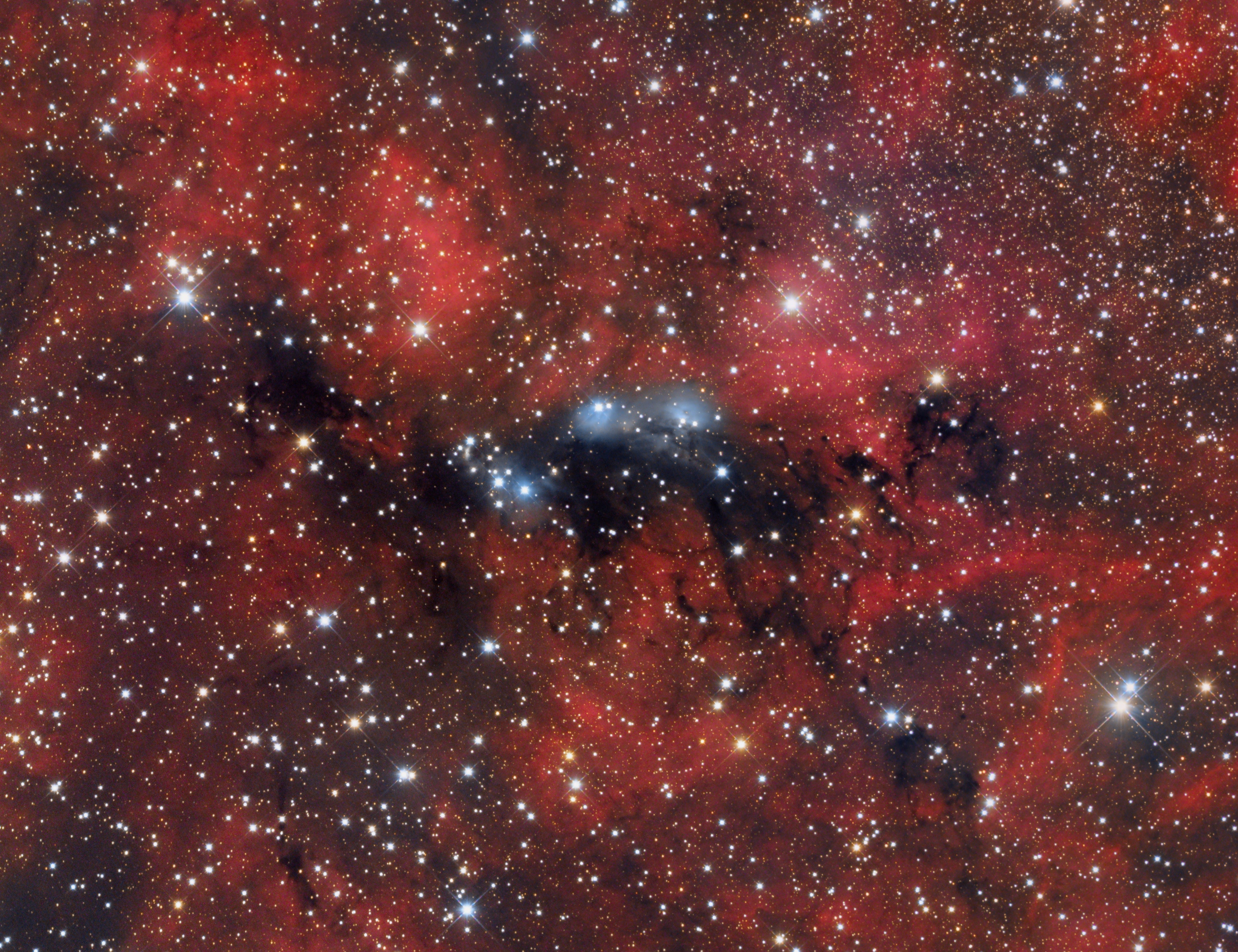 NGC6914, VdB131, VdB132, Dolidze8 L-HaRGB