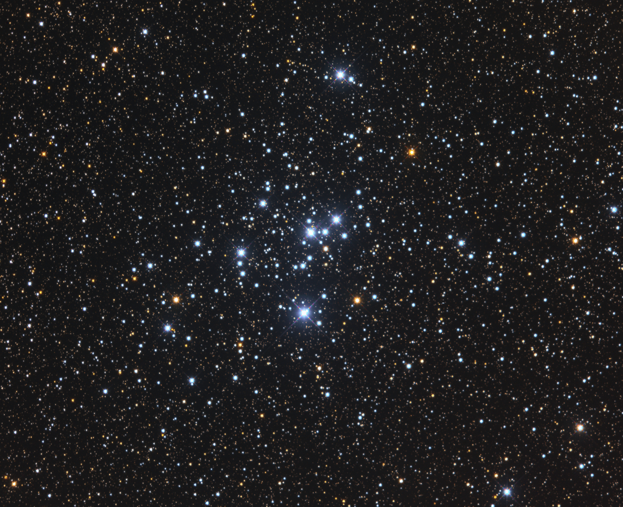 M47, NGC2422