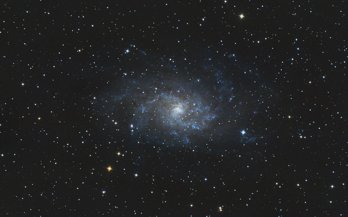 M33