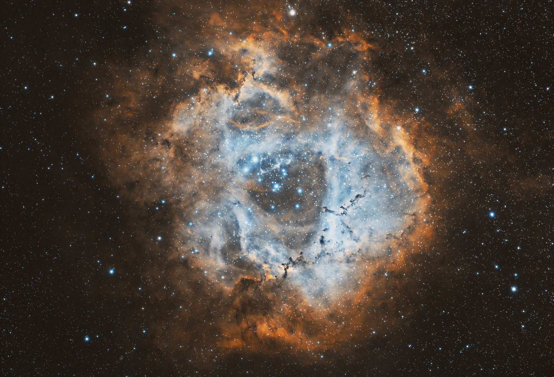 NGC 2237