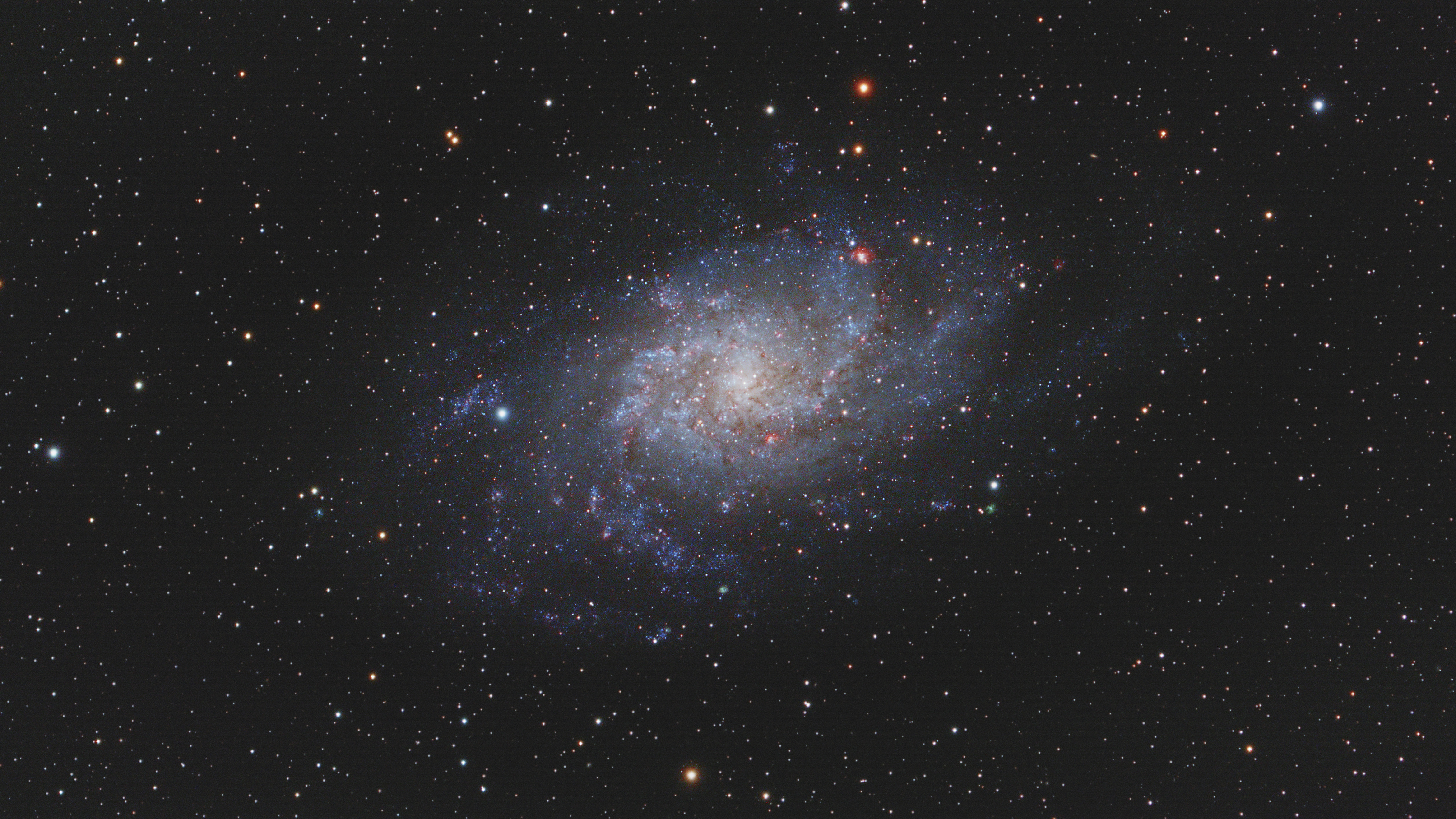 M 33