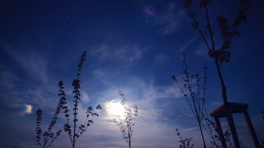 Parselenium 17.6.2011