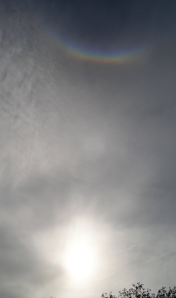 Cirkumzenitálny obluk