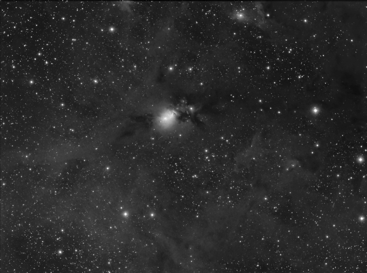 NGC1333 B&W