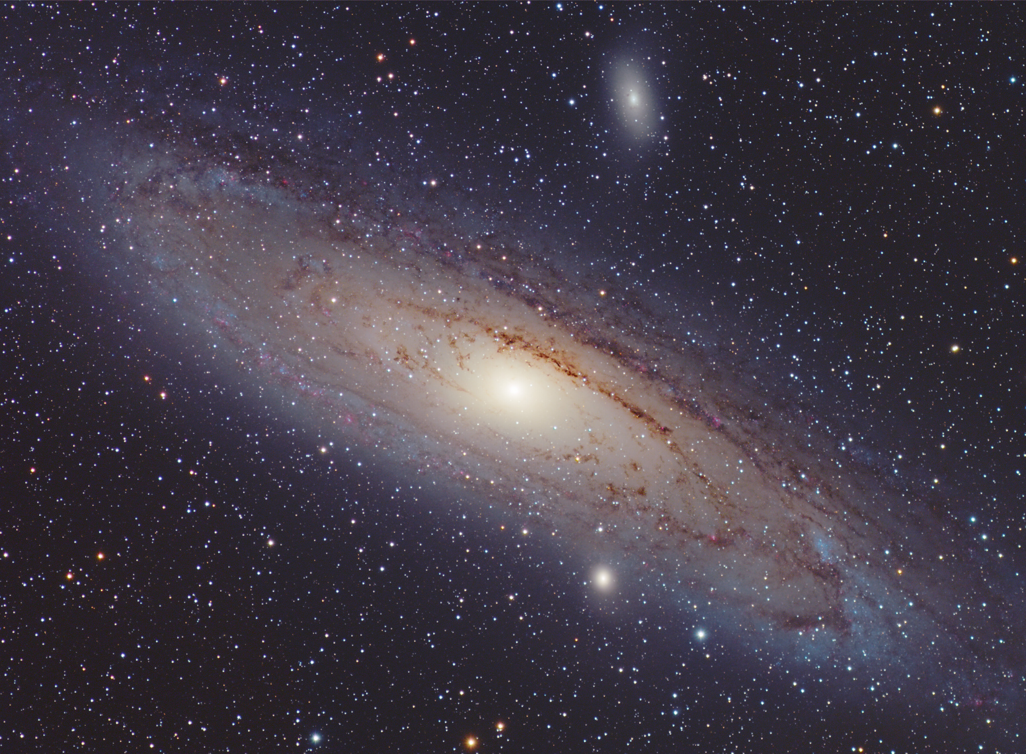 M31