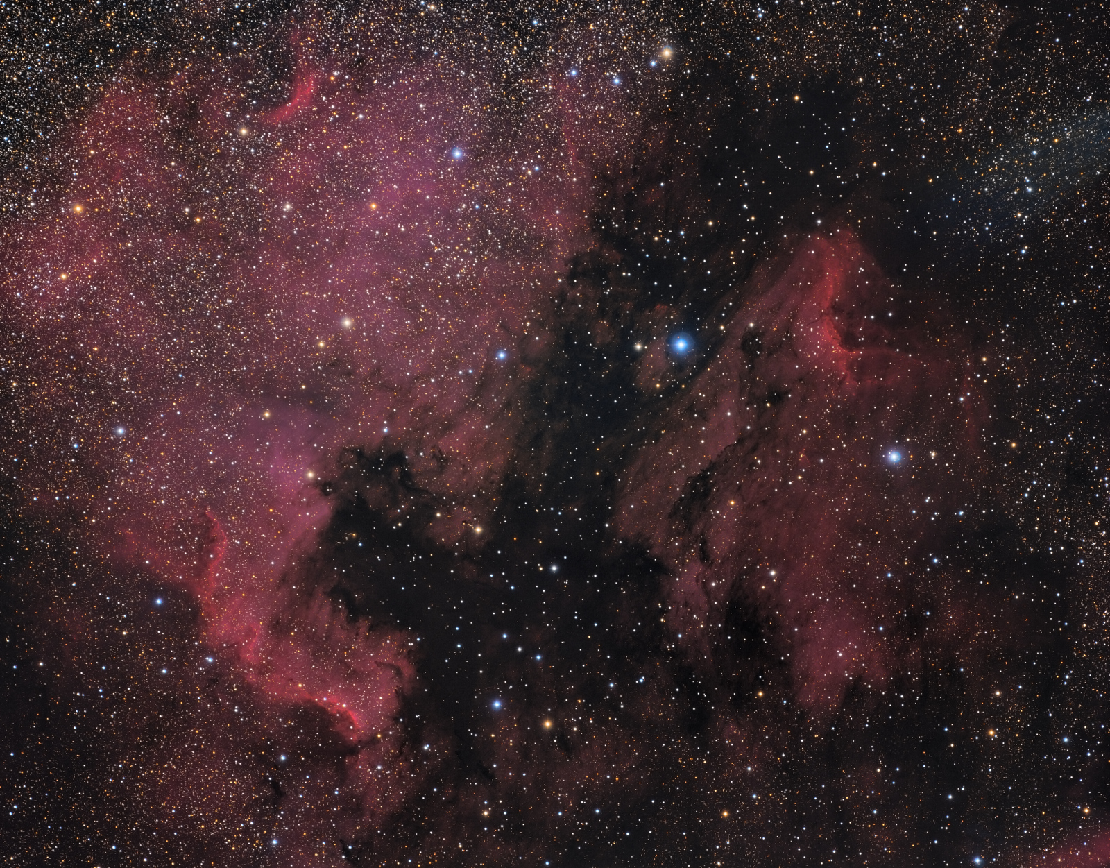 NGC7000 Amerika a Pelikán