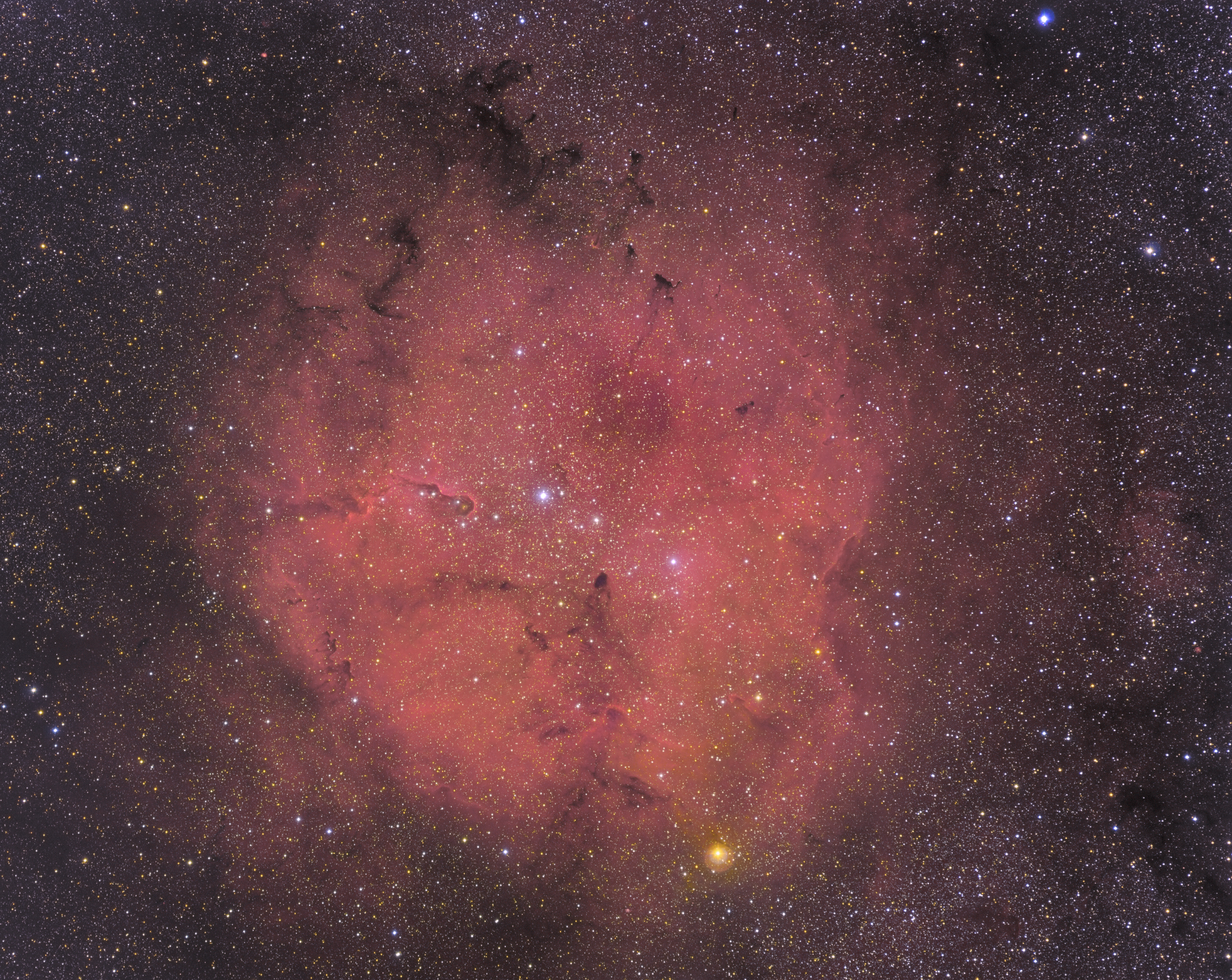 IC1396,  Granátová hvězda a Sloní chobot