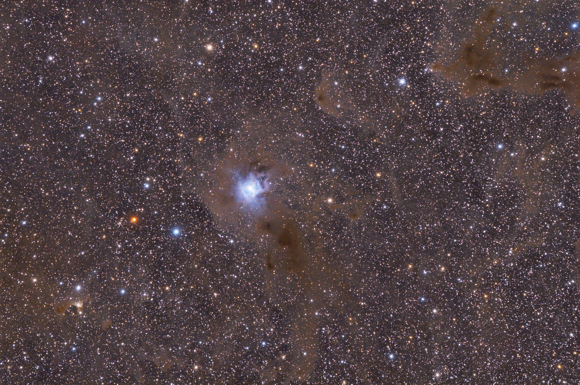 NGC7023 Iris Nebula