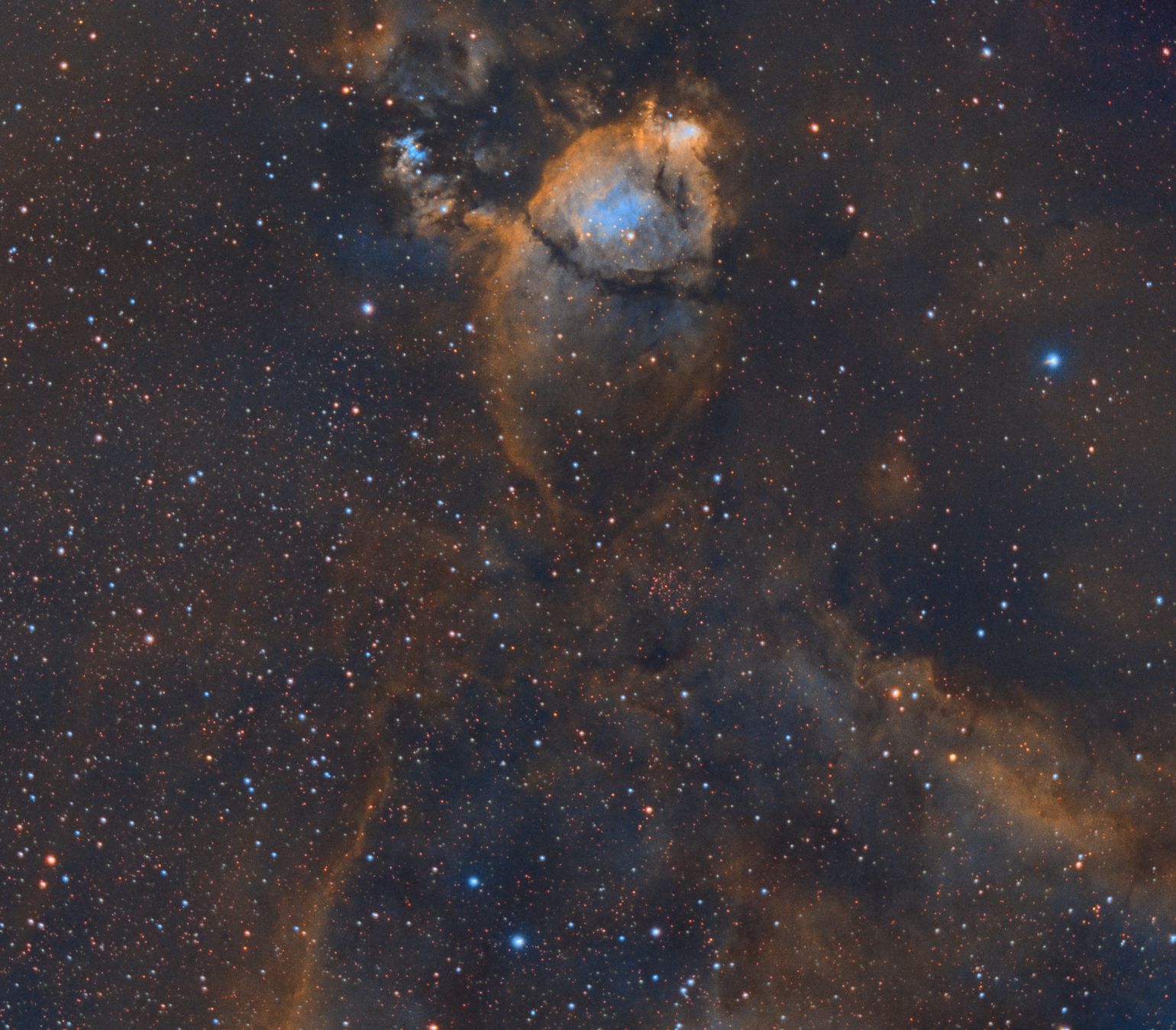IC1795 Rybí hlava SHO