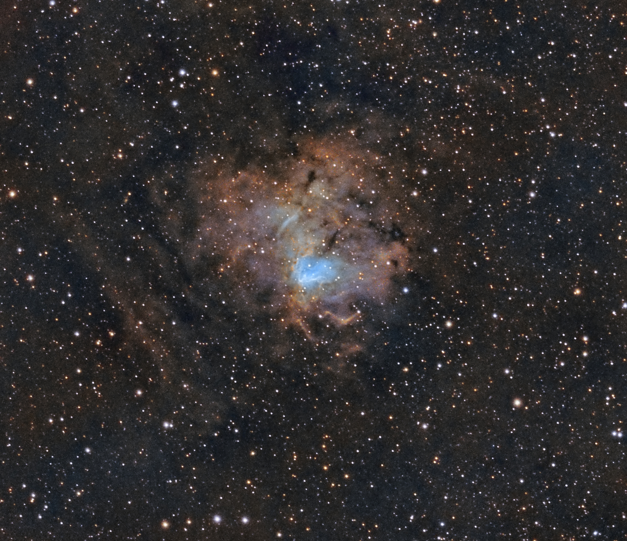 NGC1491 SHO