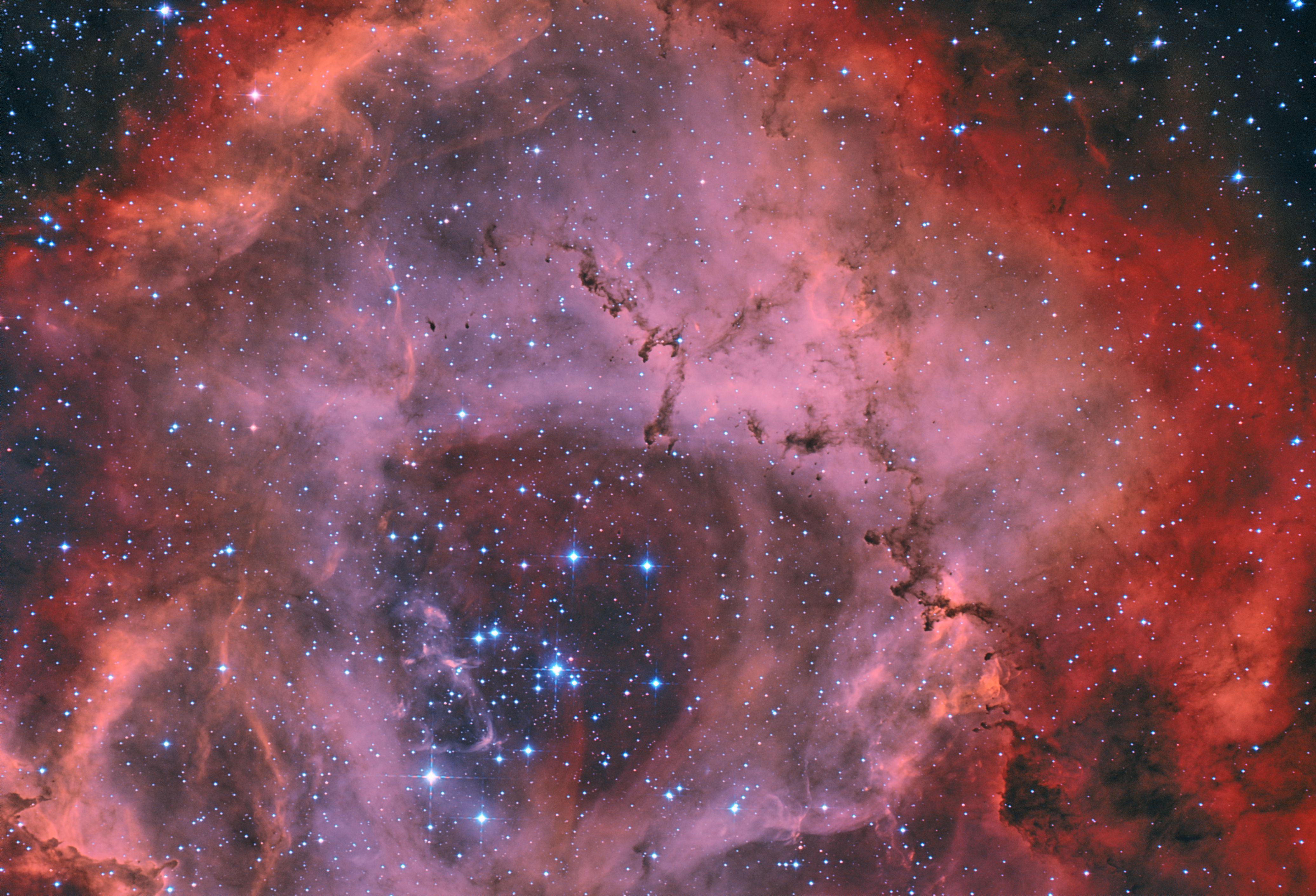 Rosette NGC 2237 Bicolor