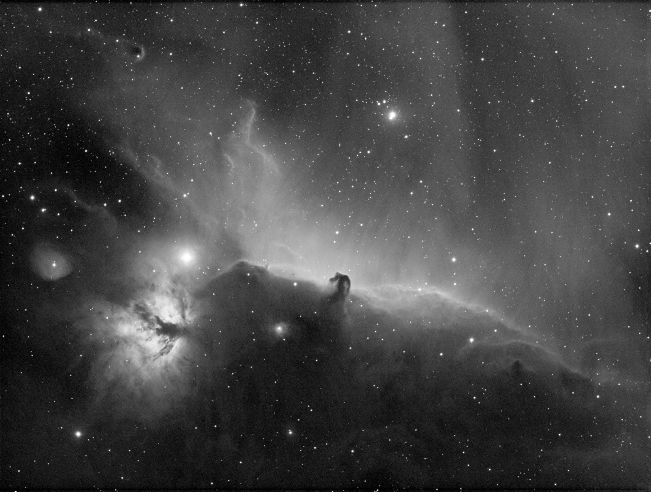 B33, NGC2024