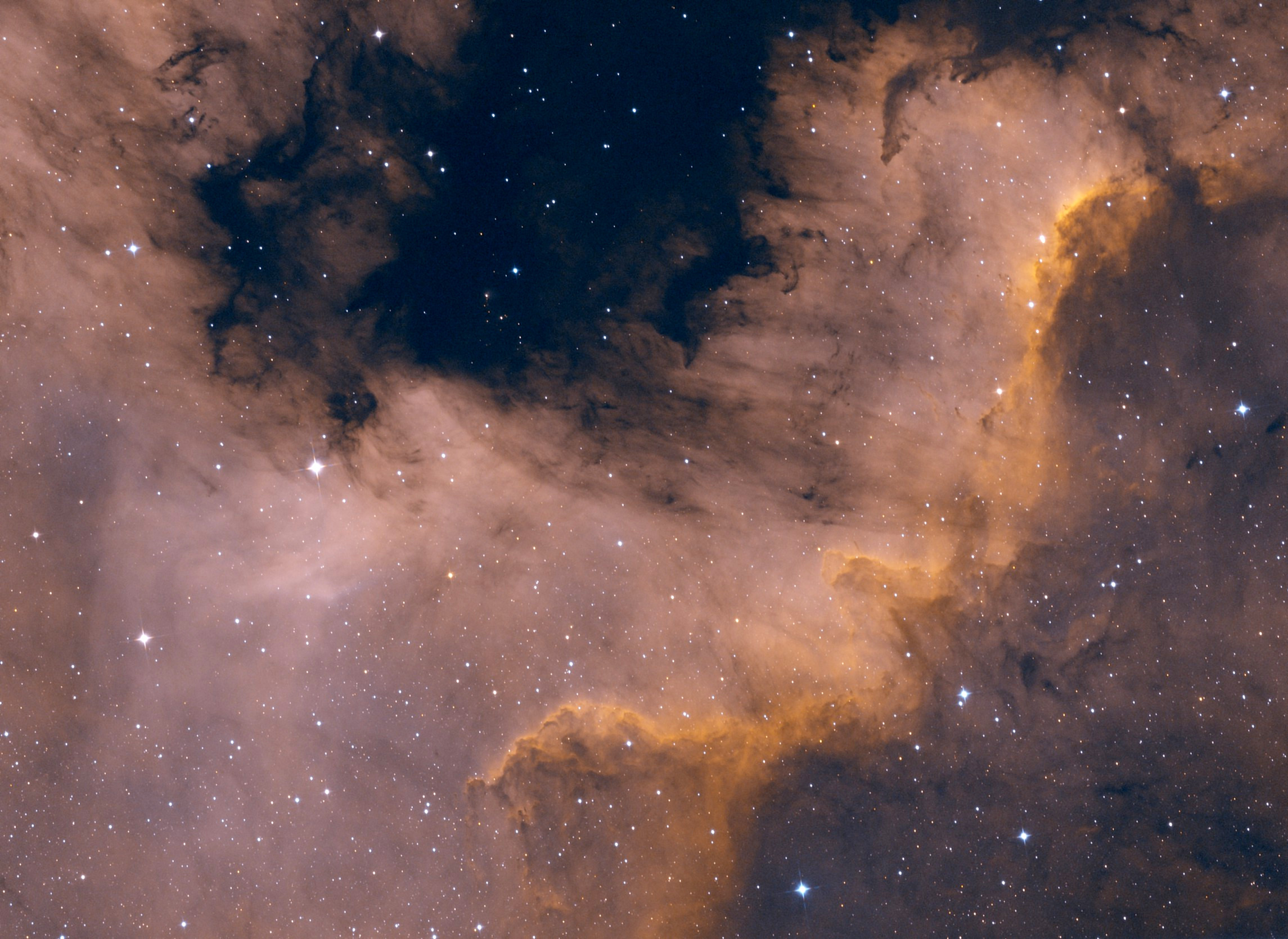 NGC7000
