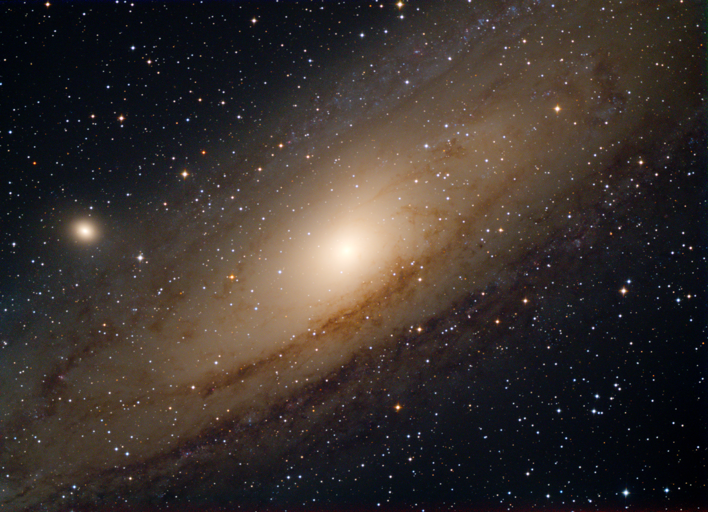M31