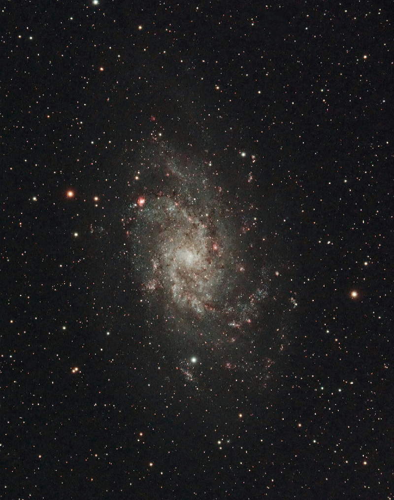 M33