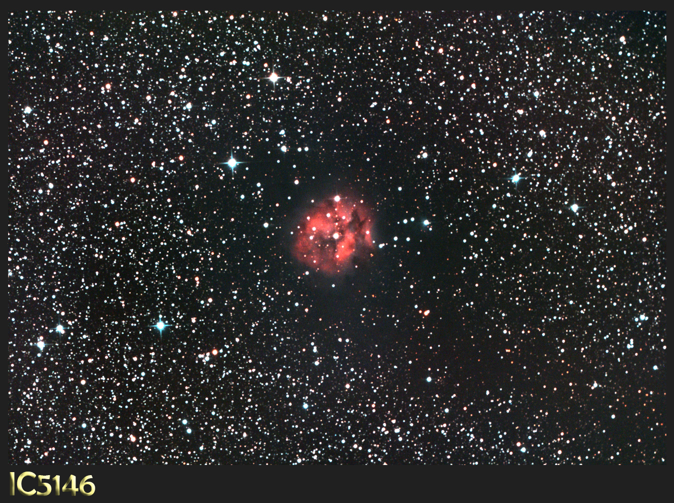 IC5146
