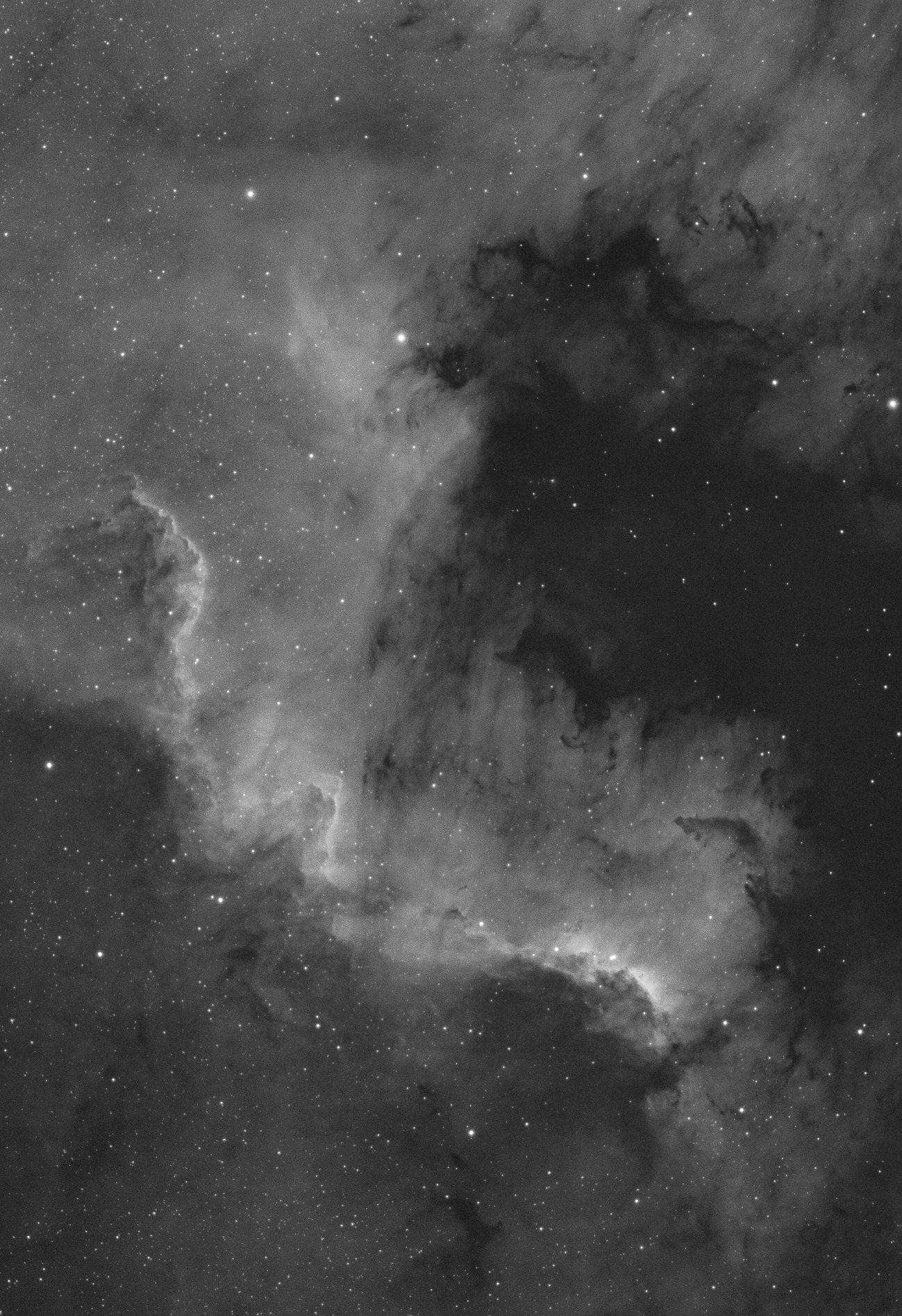 NGC 7000 - první ostrý test kamery