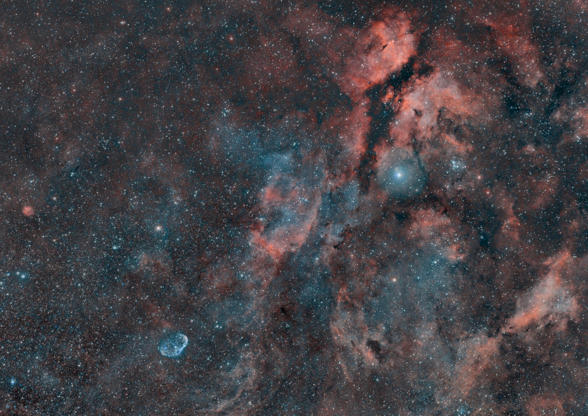 Gamma Cygni - bicolor 