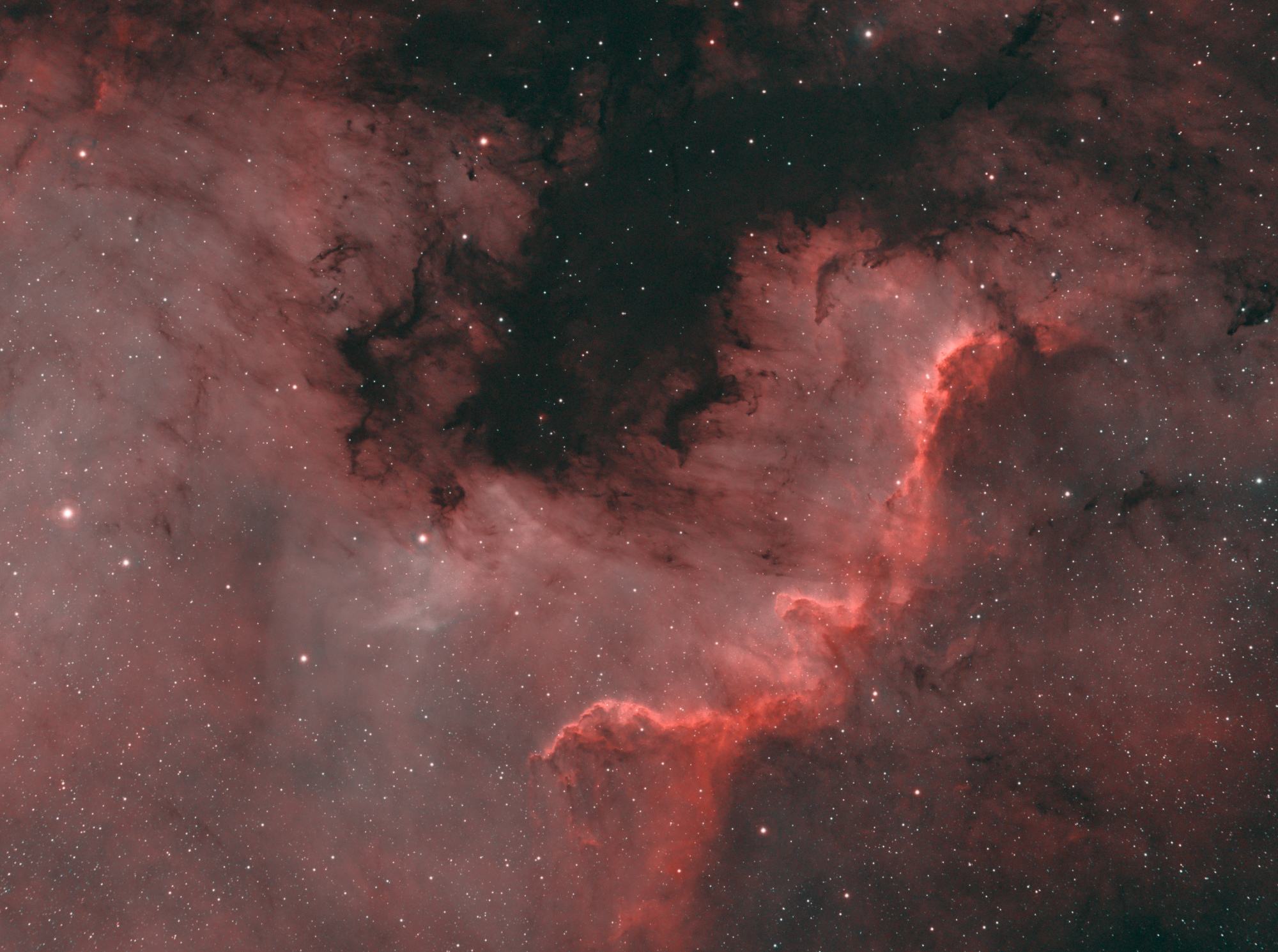 NGC 7000 (bicolor)