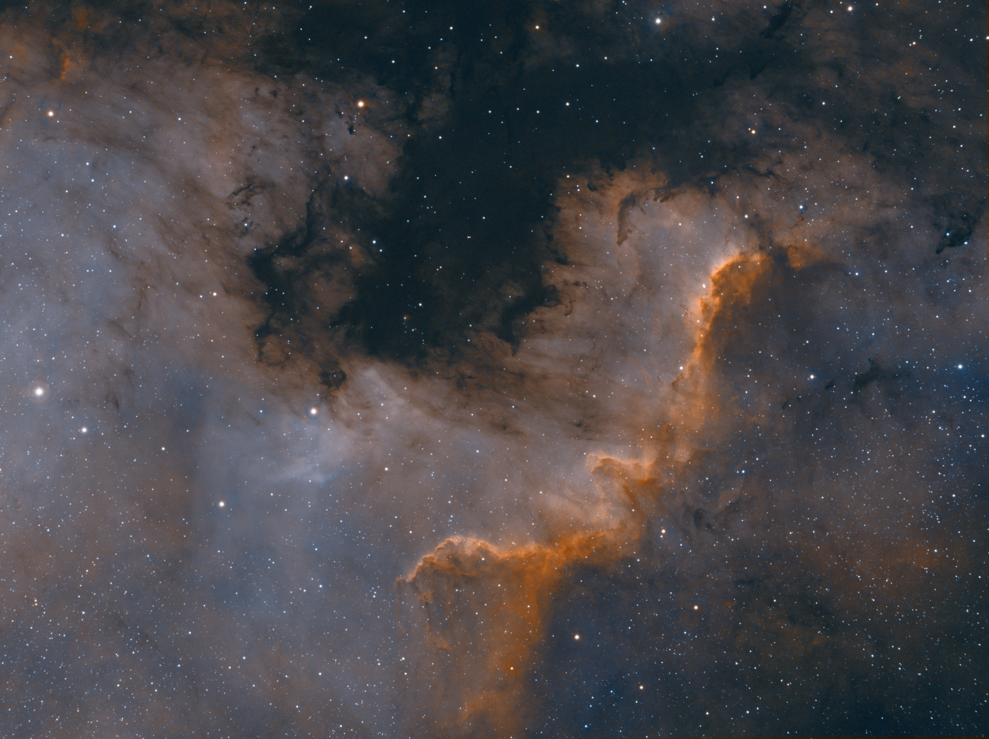 NGC 7000 (bicolor var.2)