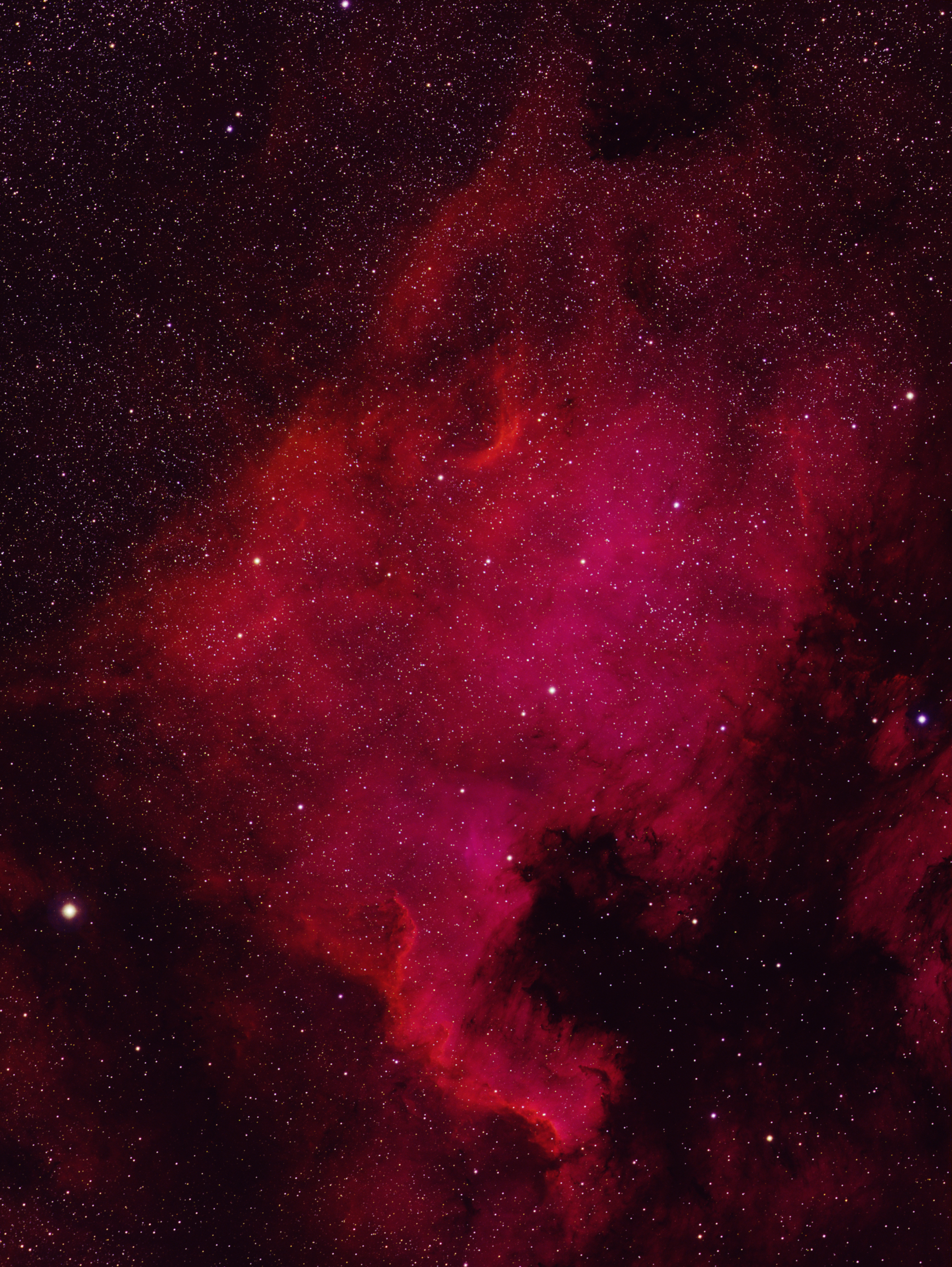 NGC7000 Severní Amerika