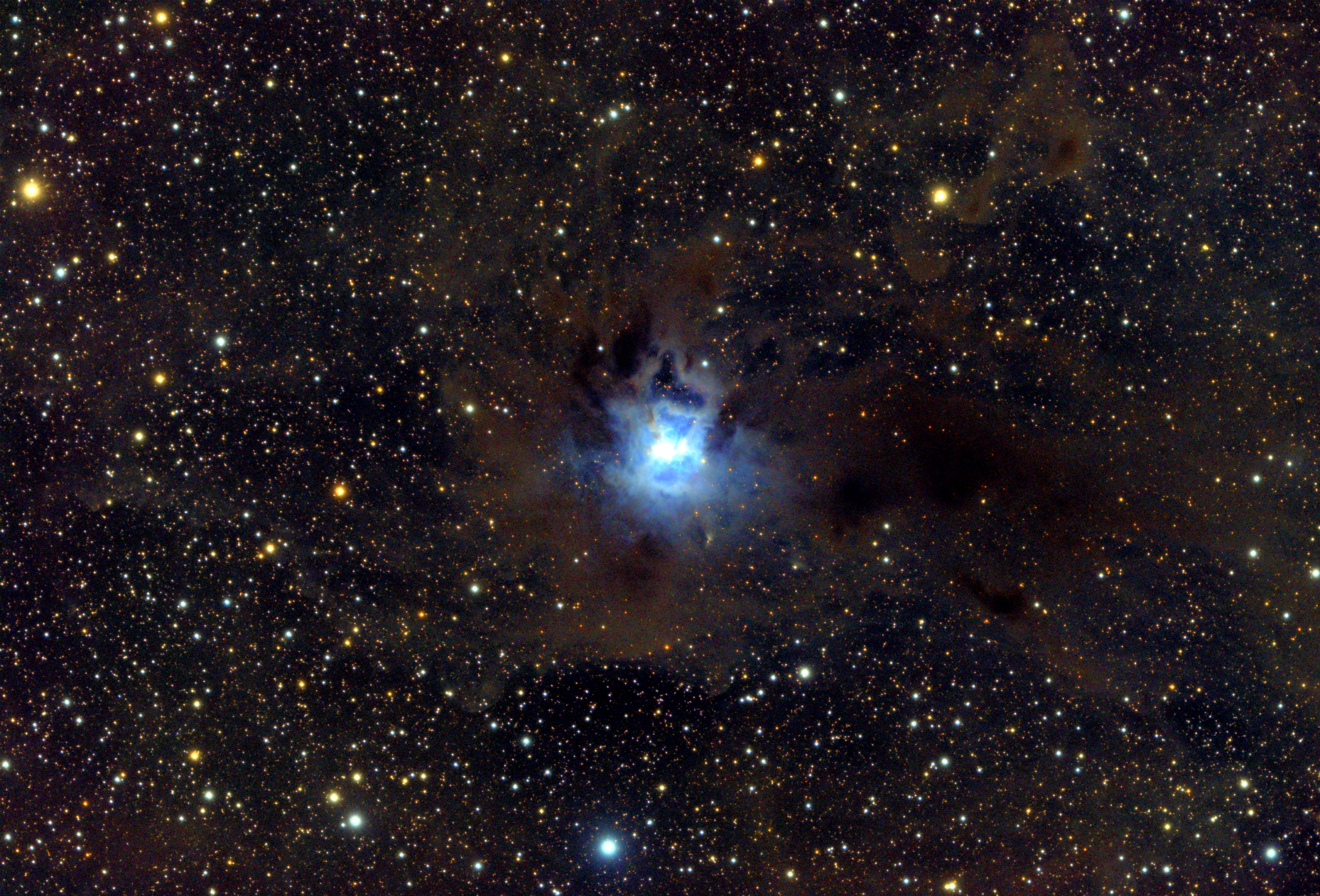 NGC7023, Iris, Kosatec