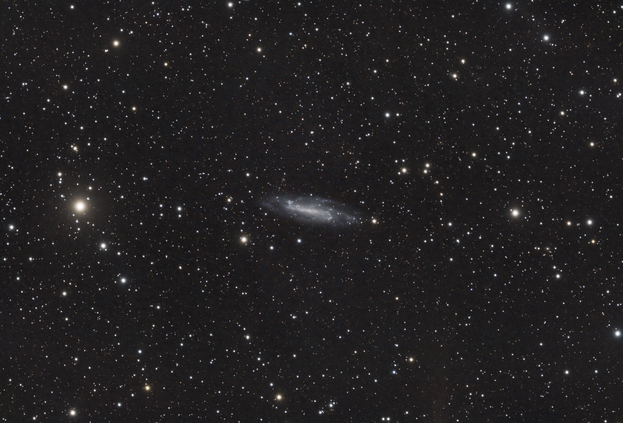 NGC4236