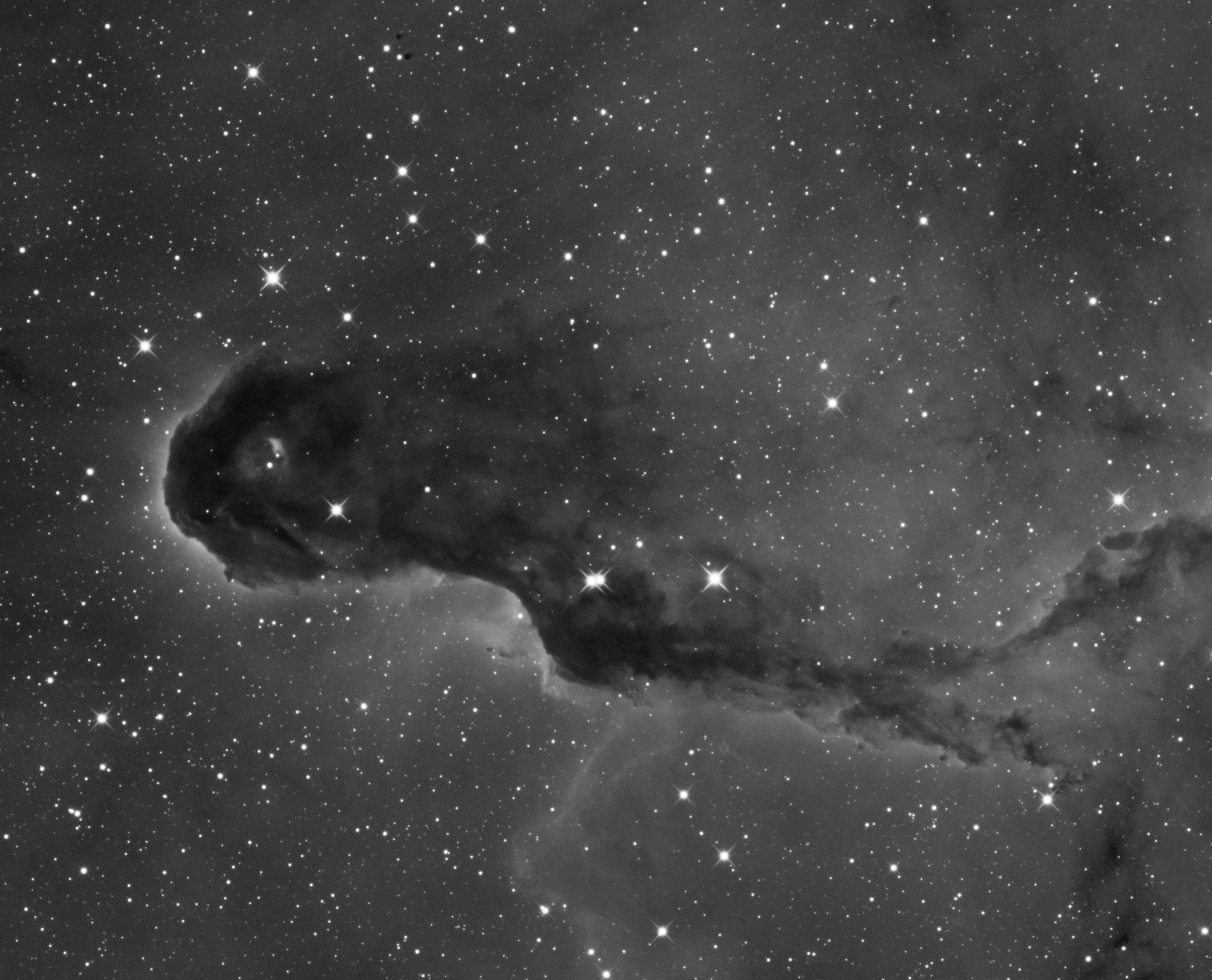 Sloní chobot v IC1396