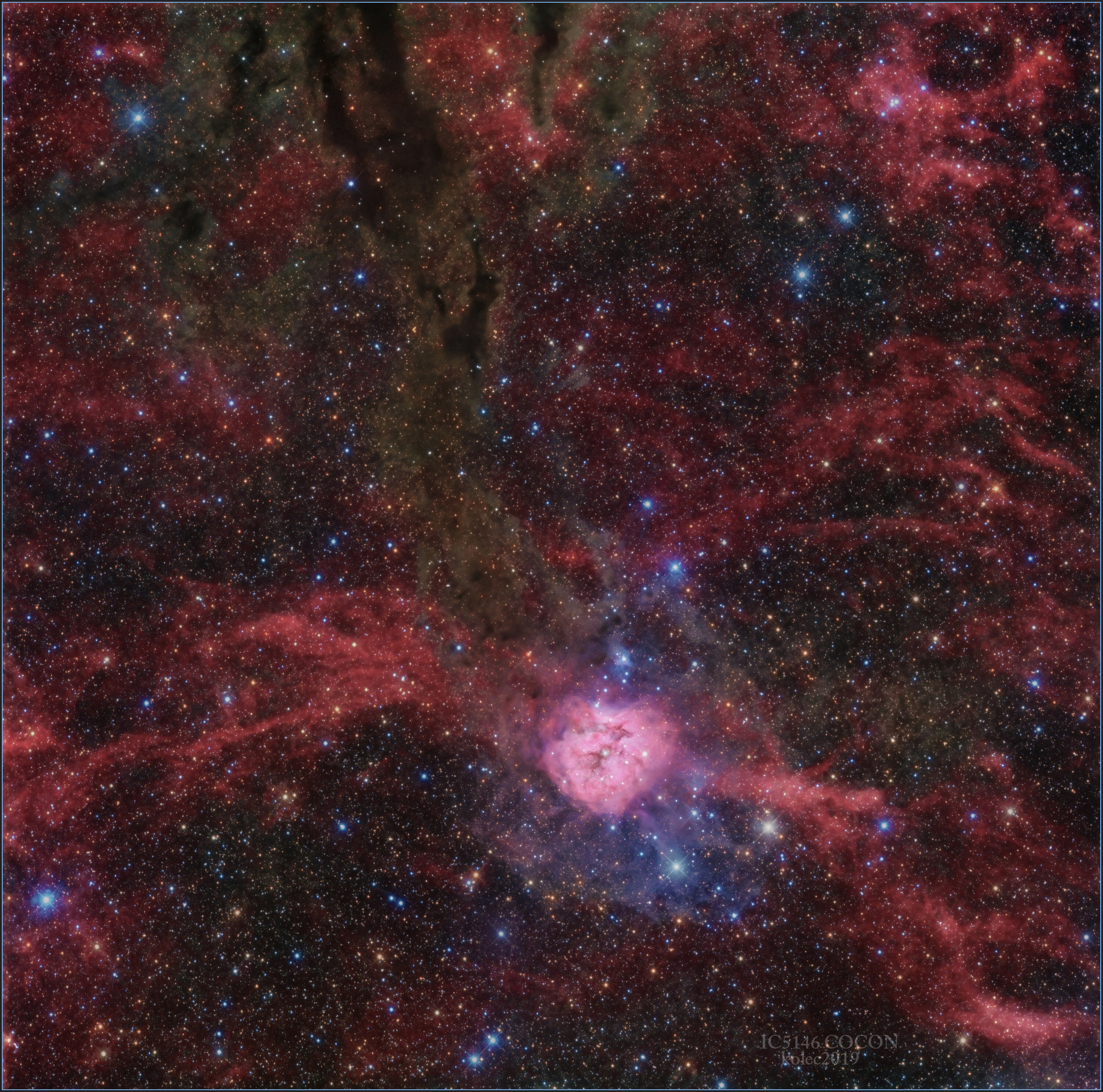 IC5146 Cocon