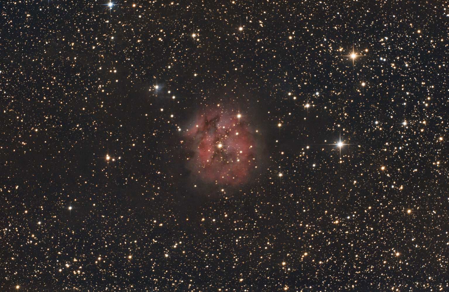 IC5146, Cocoon
