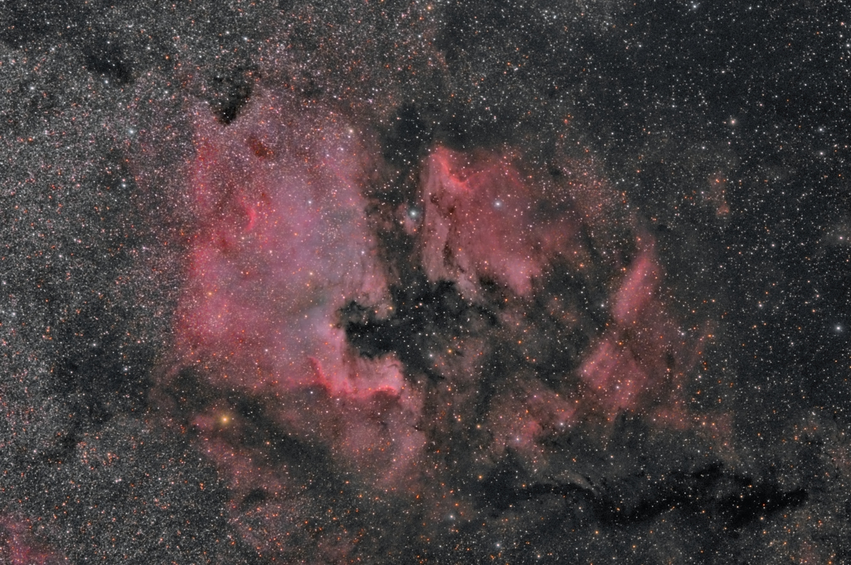 NGC 7000