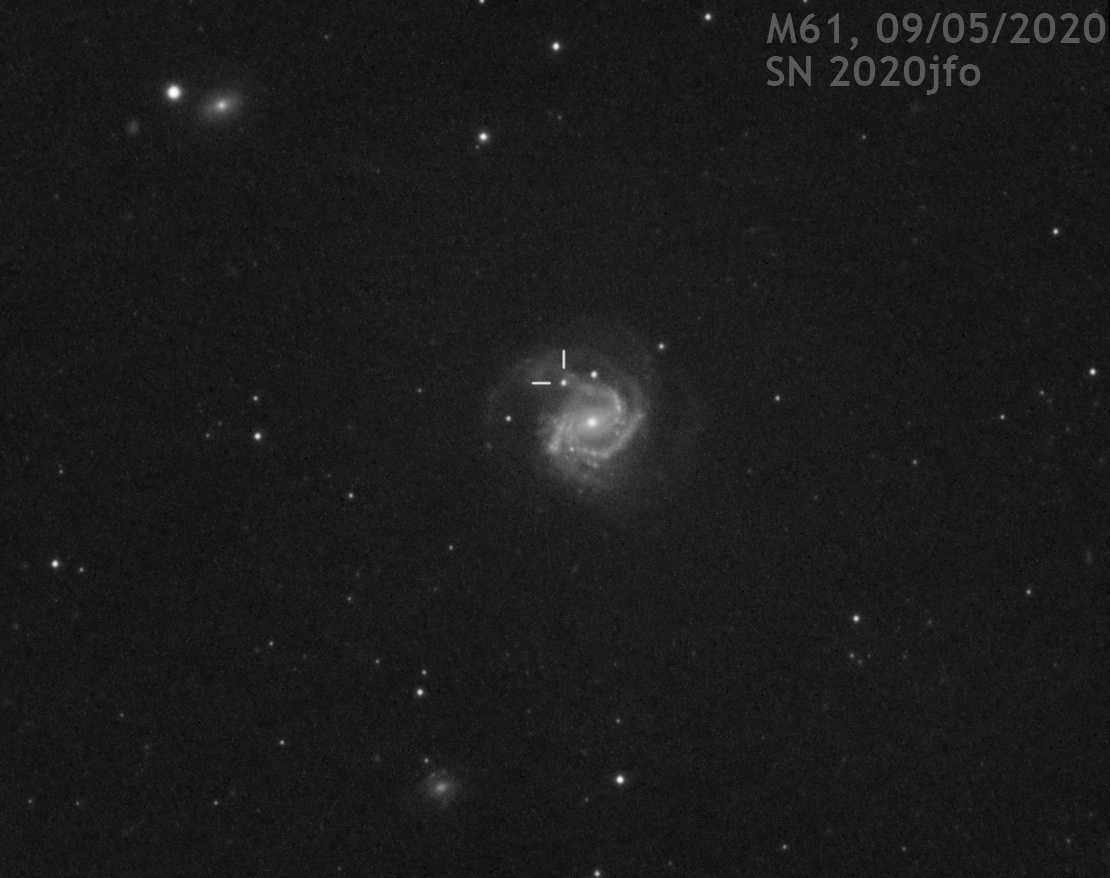 SN 2020jfo v M61