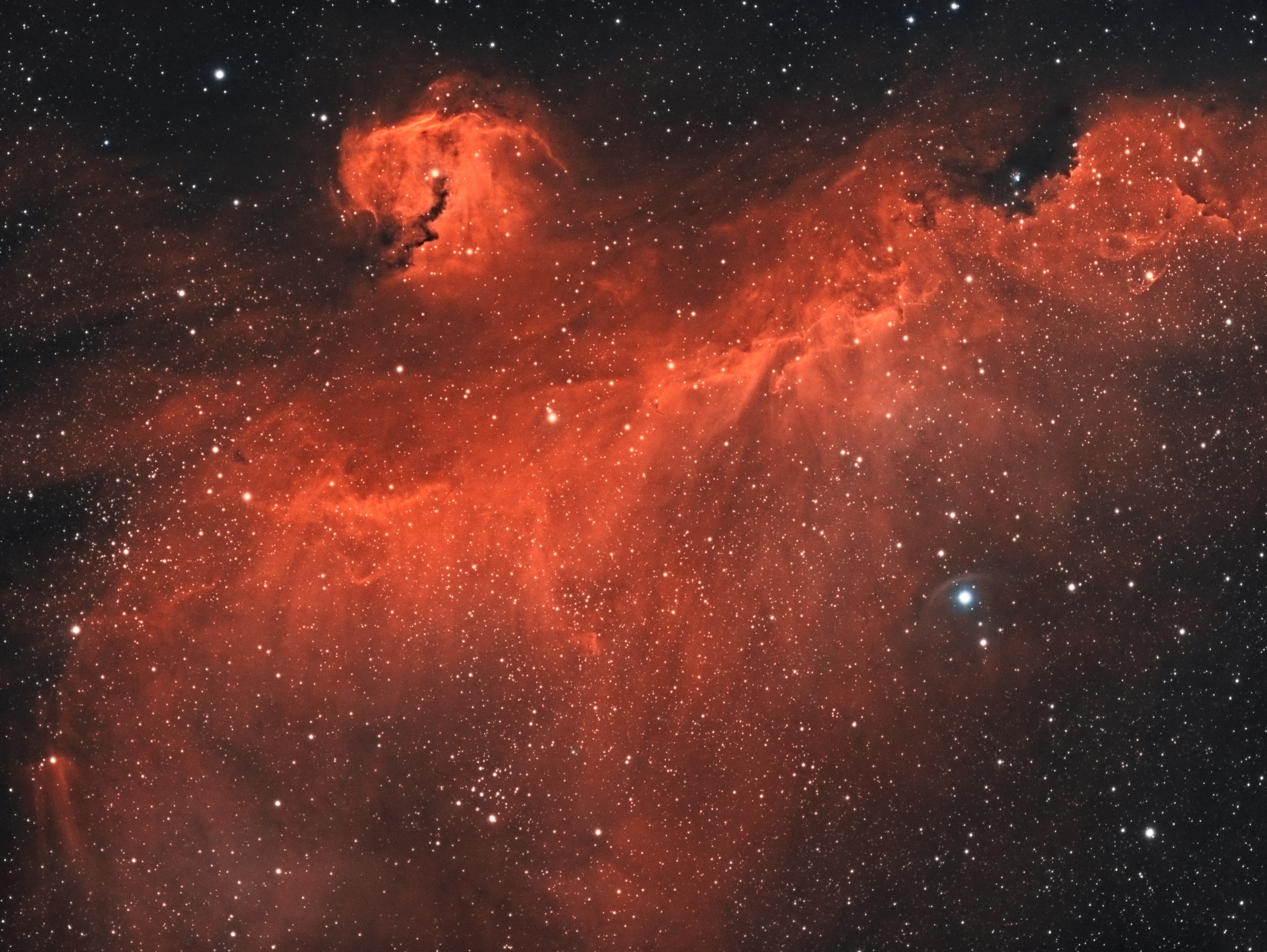 IC 2177 – The Seagull Nebula